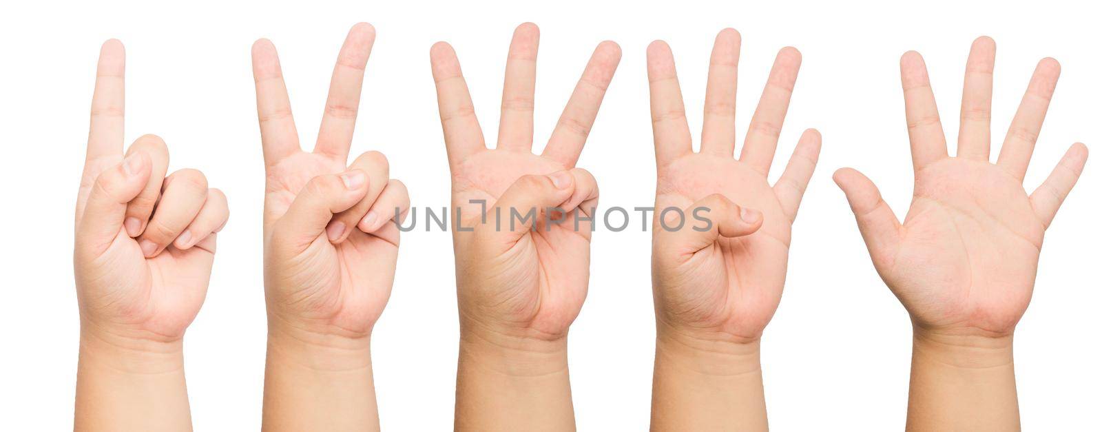 people count by finger 1 to 5 front and back