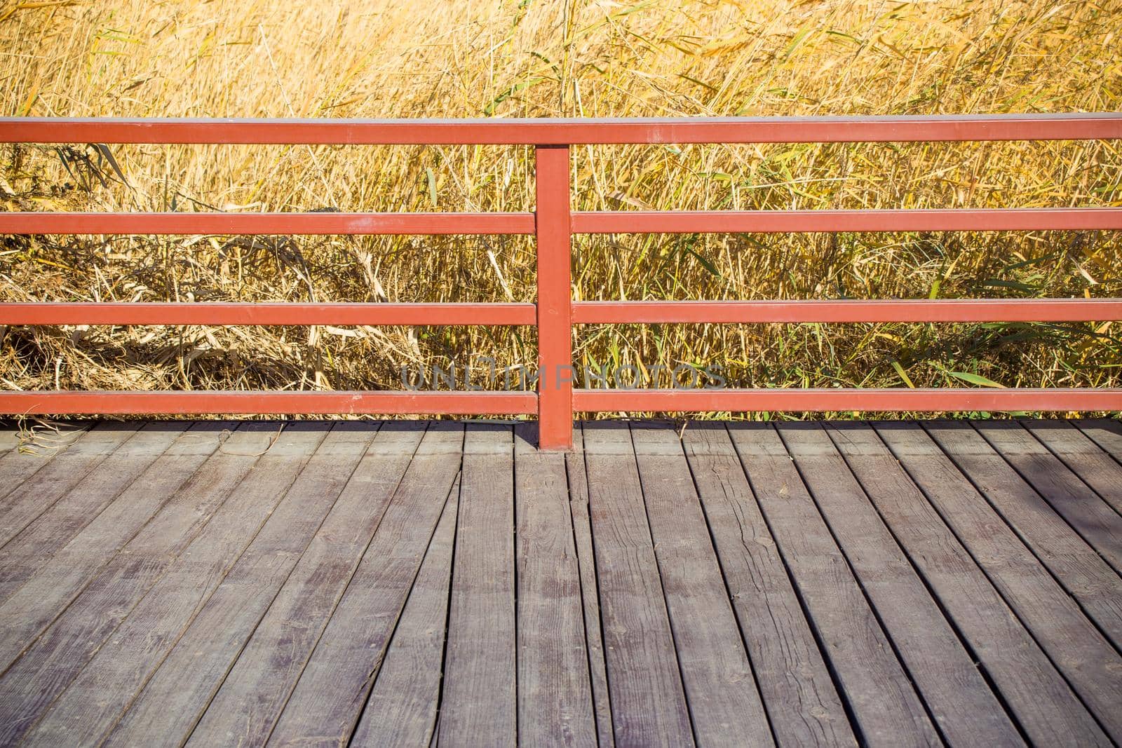 Detail of railing of an old rusty rural wood path through a reed field with a whishful and hopeful look