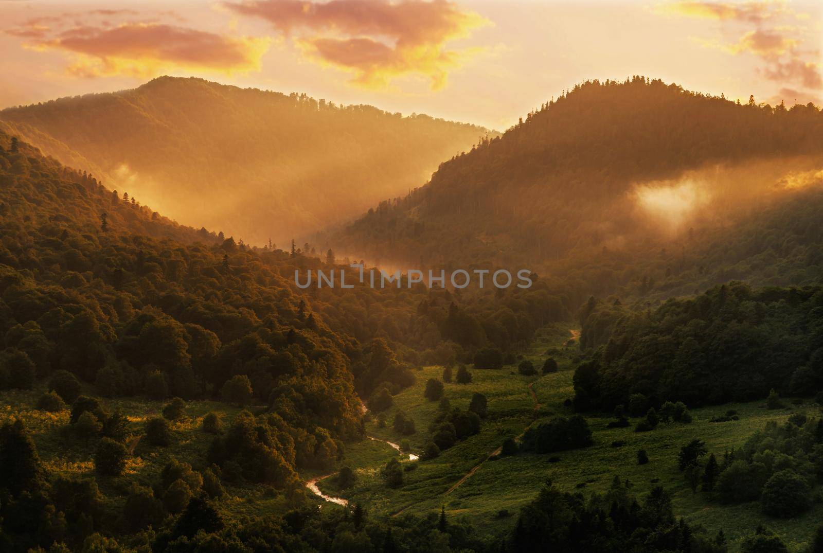 Mountain valley in summer sunlight at sunset. by alexAleksei