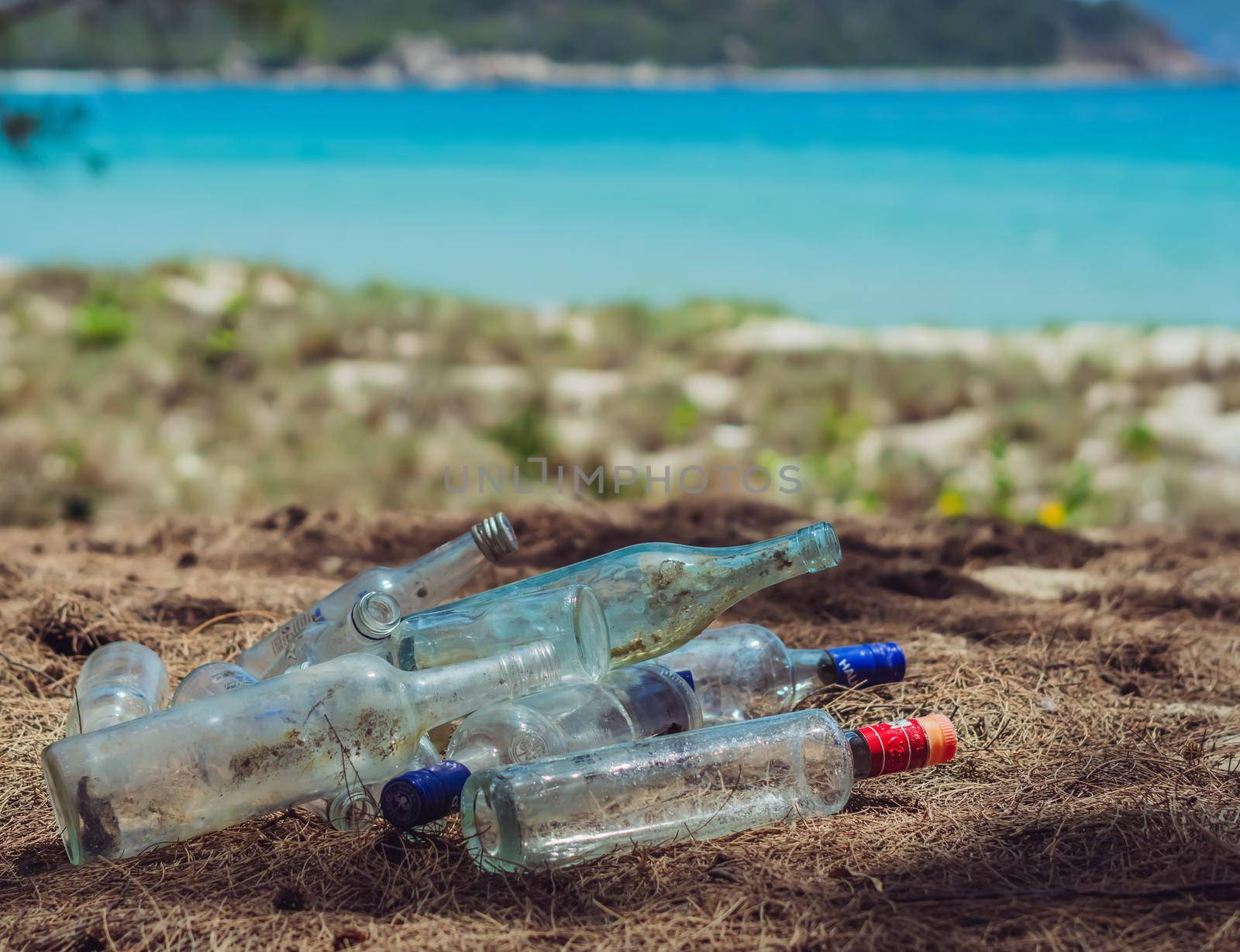 Close landfill old dirty transparent discarded empty glass alcohol drinks bottles trash on ground forest nature sea park. Alcoholism addiction problem bad habits, ecology issues environment pollution.