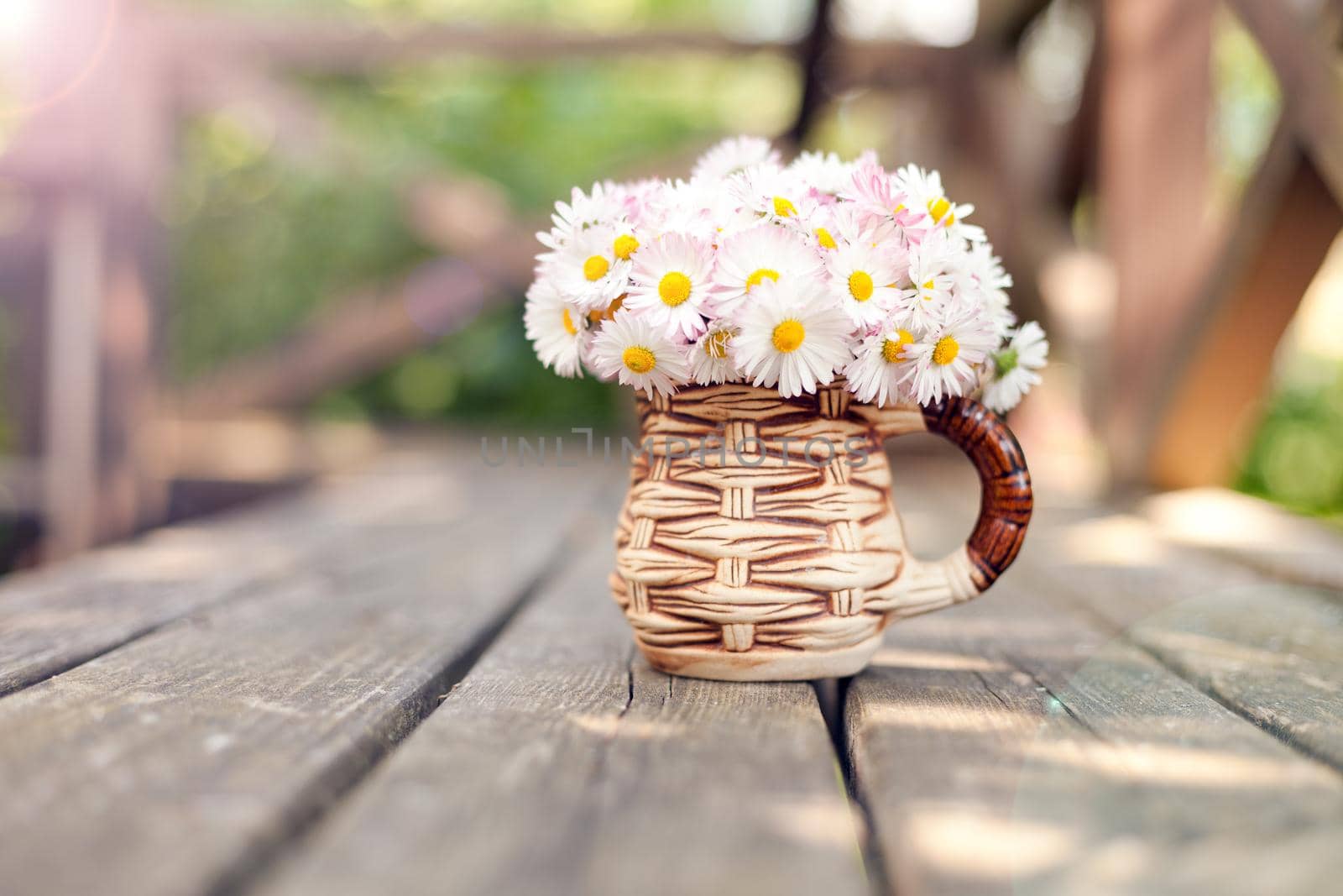 Small bouquet of daisies in the cup on grunge wooden board against green background Small floral present Daisy Bellis perennis garden flowers