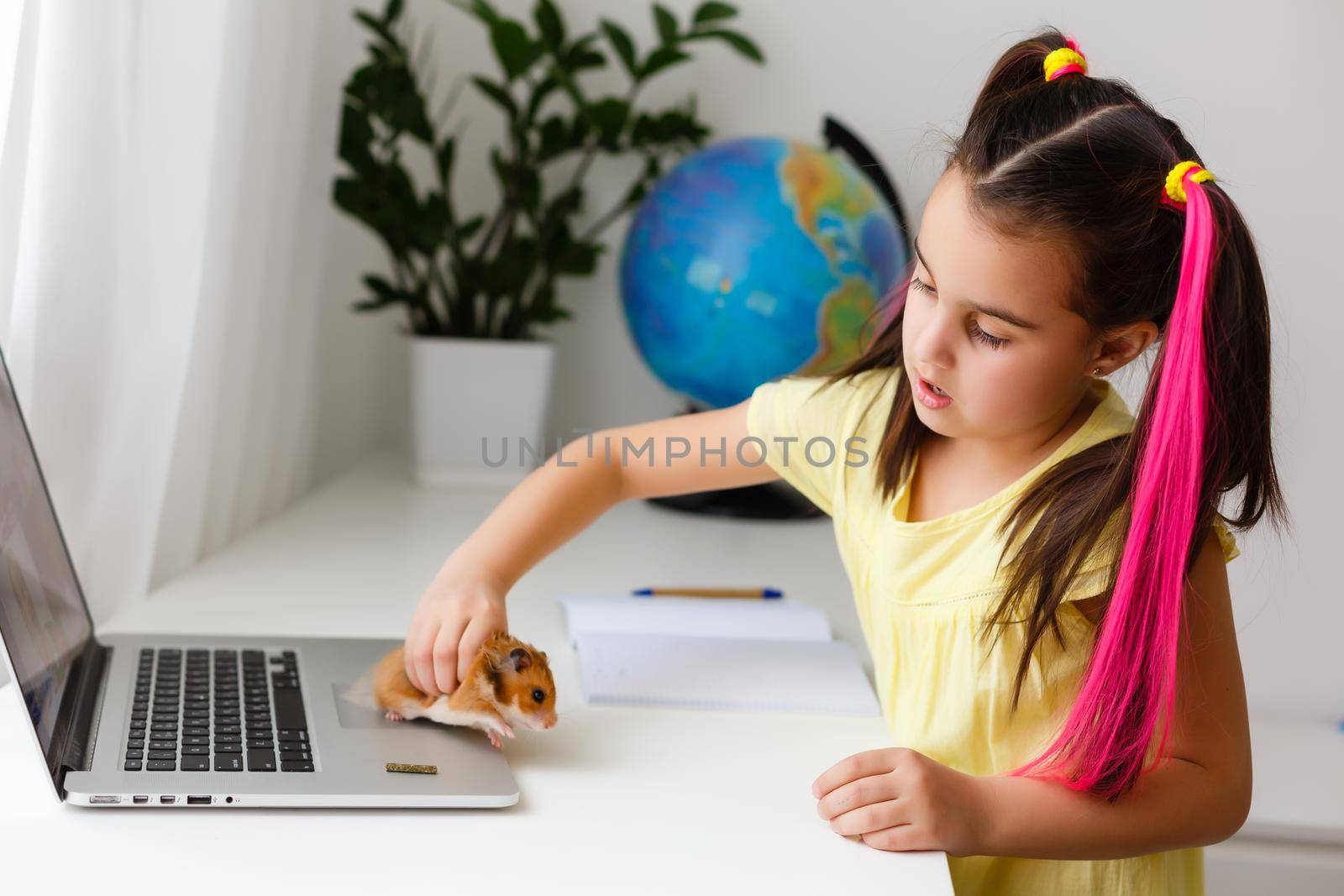 Cheerful young little girl with a pet hamster using laptop computer studying through online e-learning system at home. Distance or remote learning