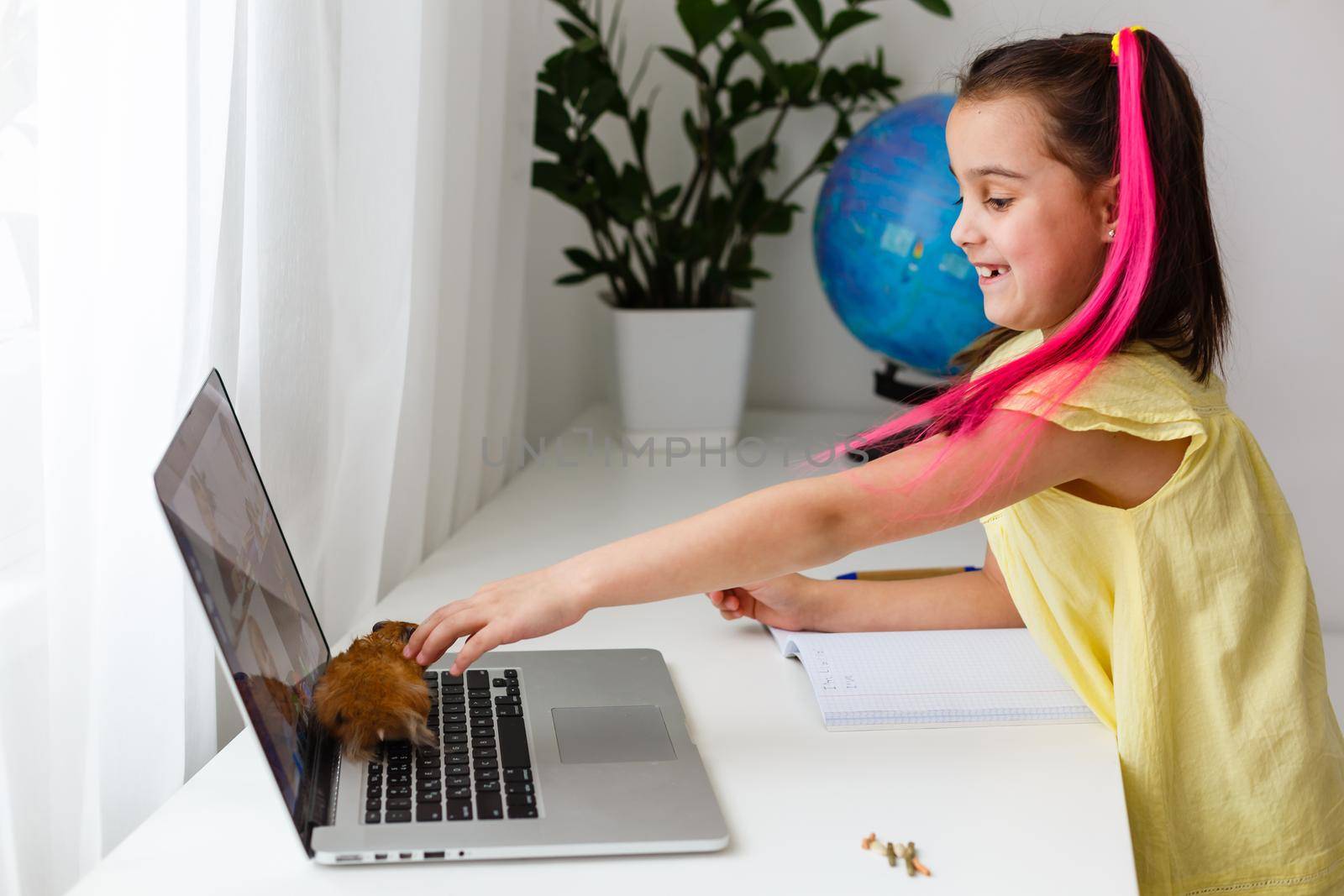 Educate at home. Child girl make homework with pet hamster. Funny ginger hamster sitting on table where kid is writing. Back to school. by Andelov13
