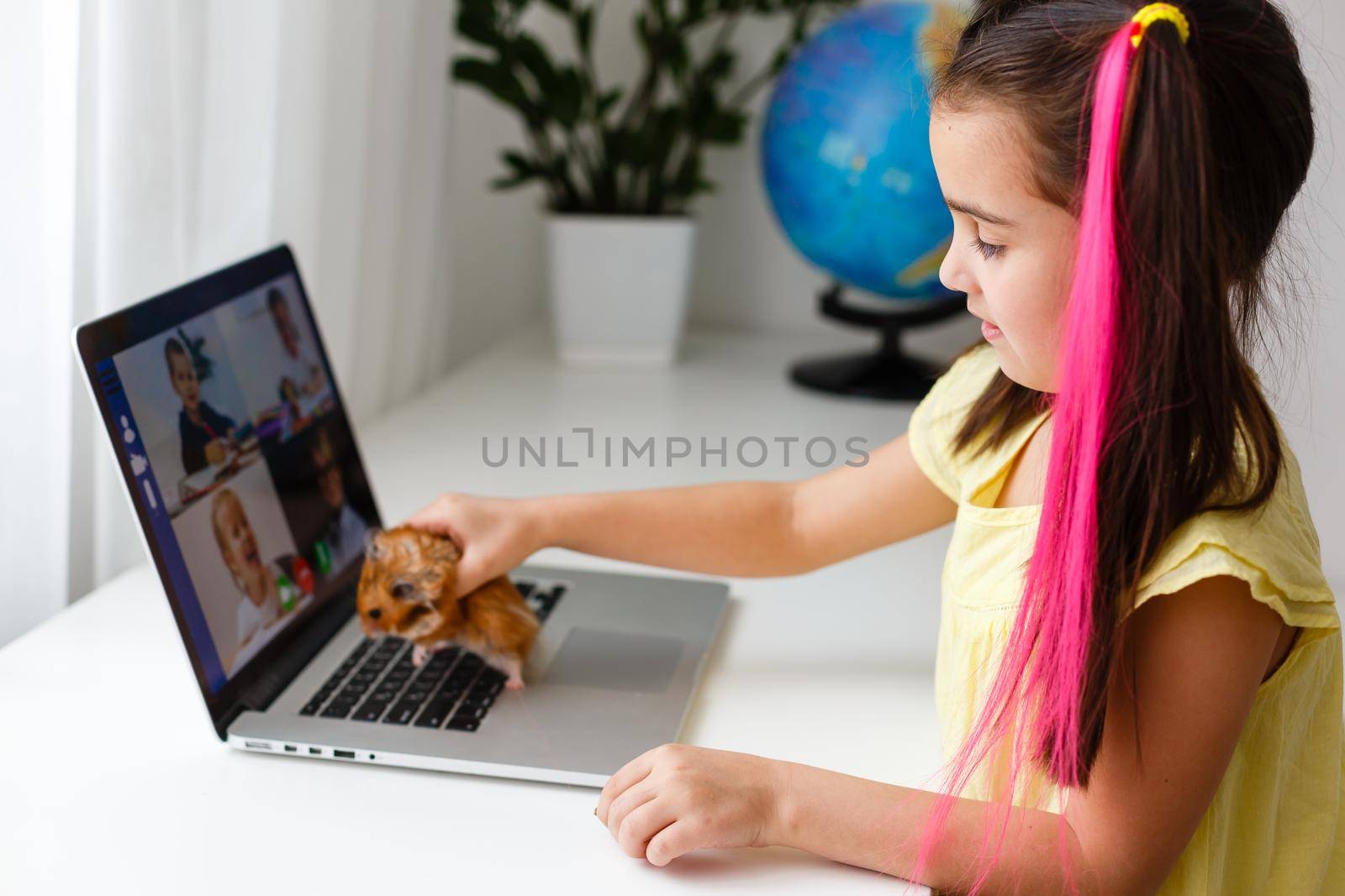 Cheerful young little girl with a pet hamster using laptop computer studying through online e-learning system at home. Distance or remote learning by Andelov13