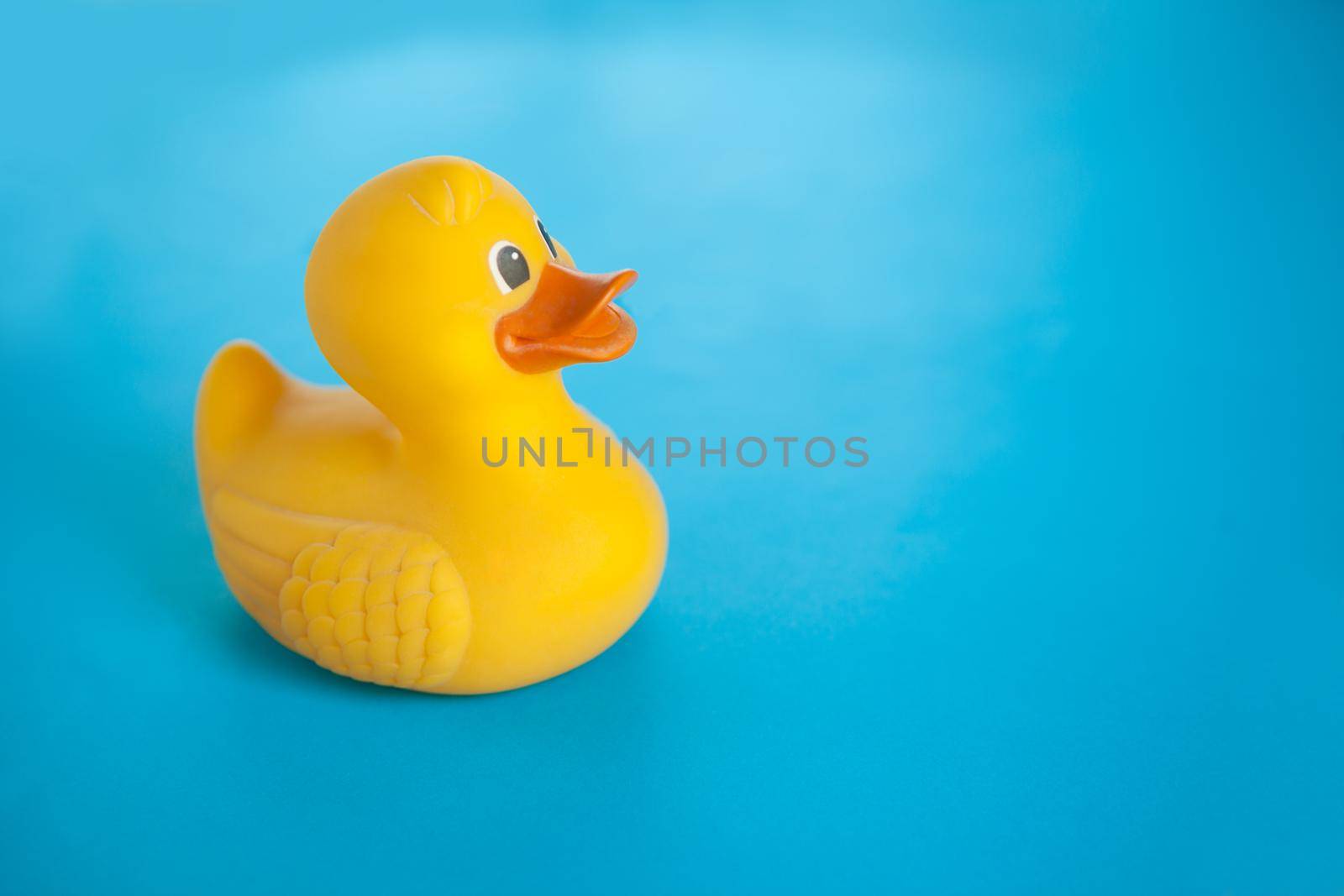 Yellow rubber bath duck on the blue background. summer toys for children