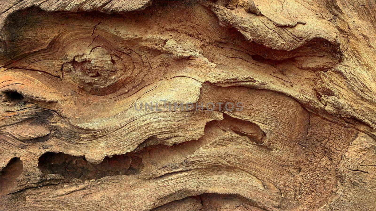 Rough textured knot on tree trunk closeup. Old wood bark texture. Natural tree trunk cracked surface closeup. Tree bark background. Grunge rough background by Kyrylov