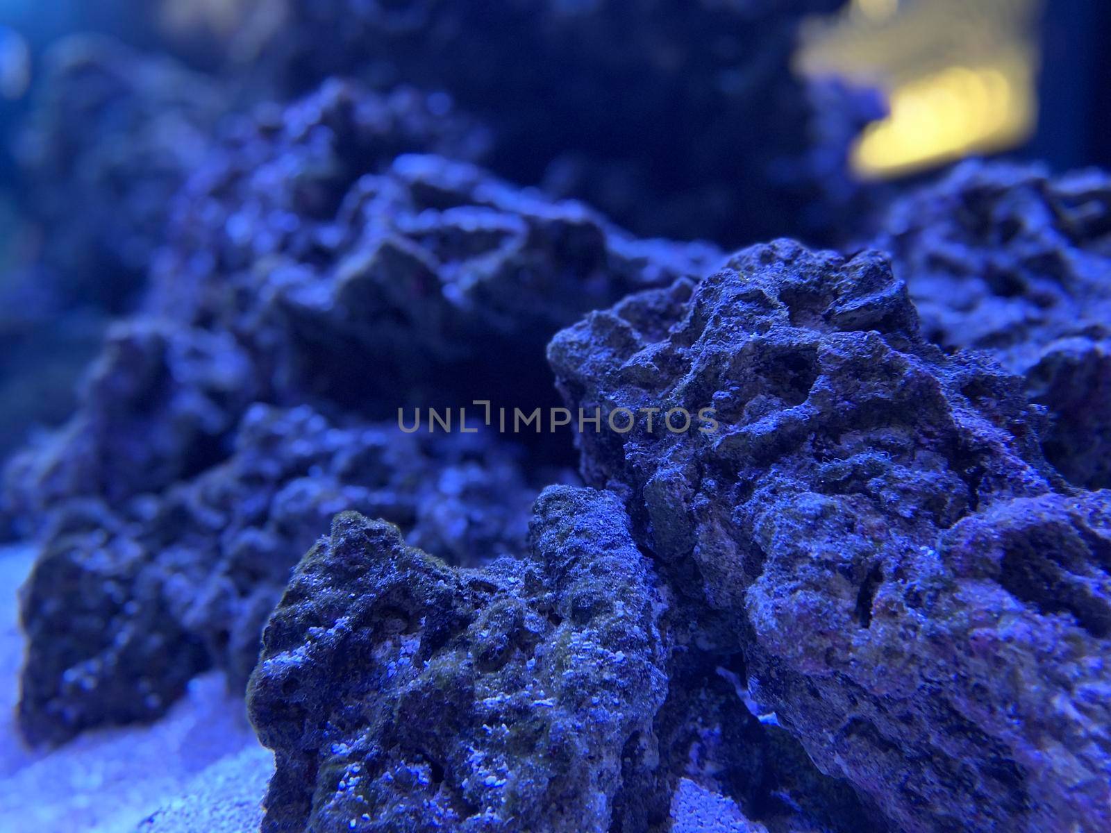 Underwater landscape stone in classic blue color.