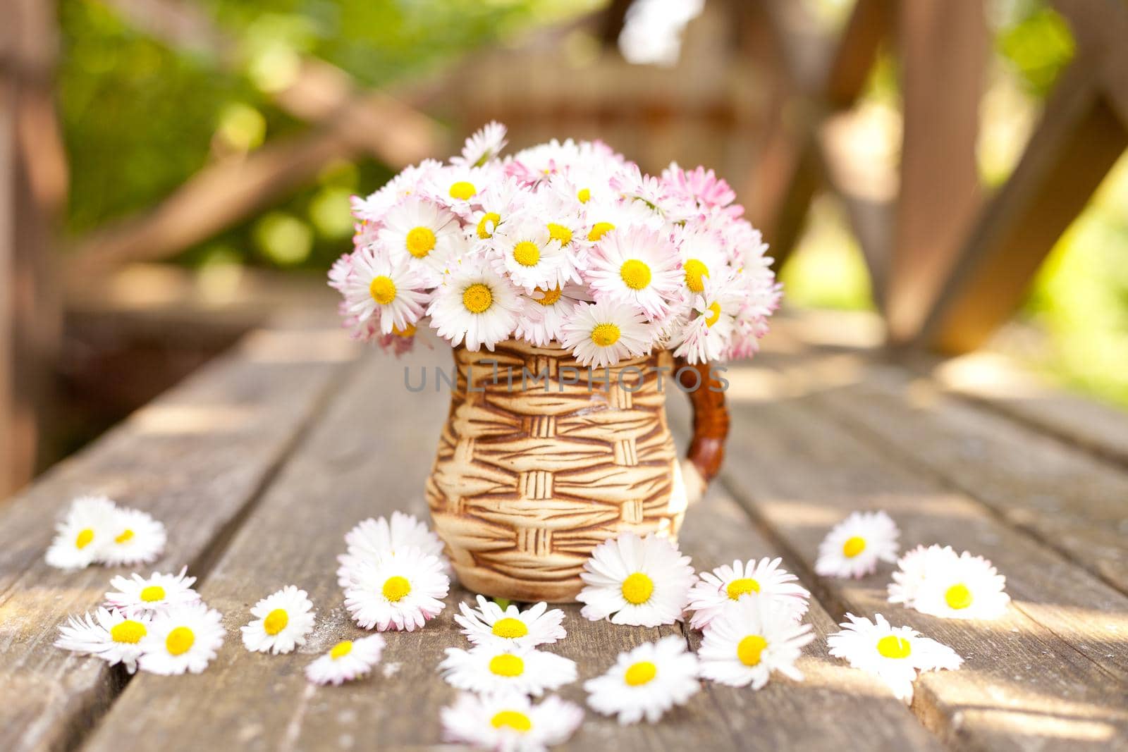 Small bouquet of daisies in the cup on grunge wooden board against green background Small floral present Daisy Bellis perennis garden flowers