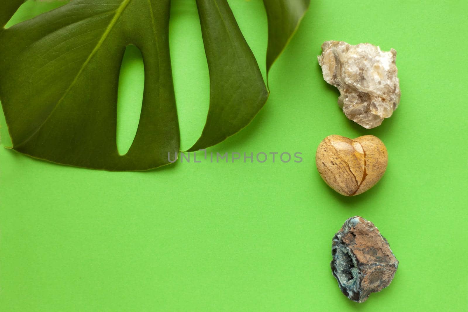 minerals and monstera plant on green paper - variety of colored sea pebbles with leaf of green monstera as a summer background close-up