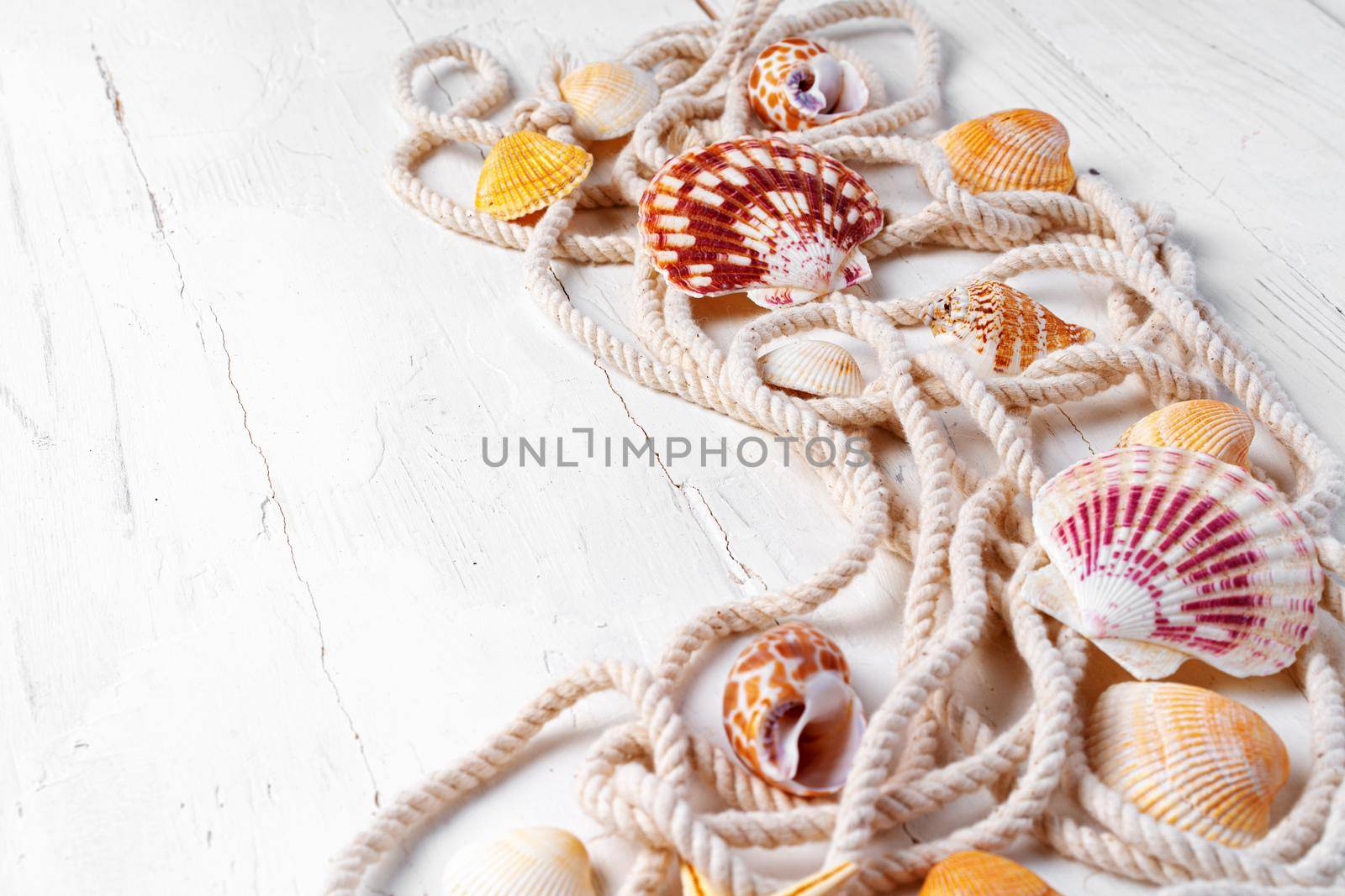 Sea shells with rope on white wooden background, copy space. Summer vacation concept