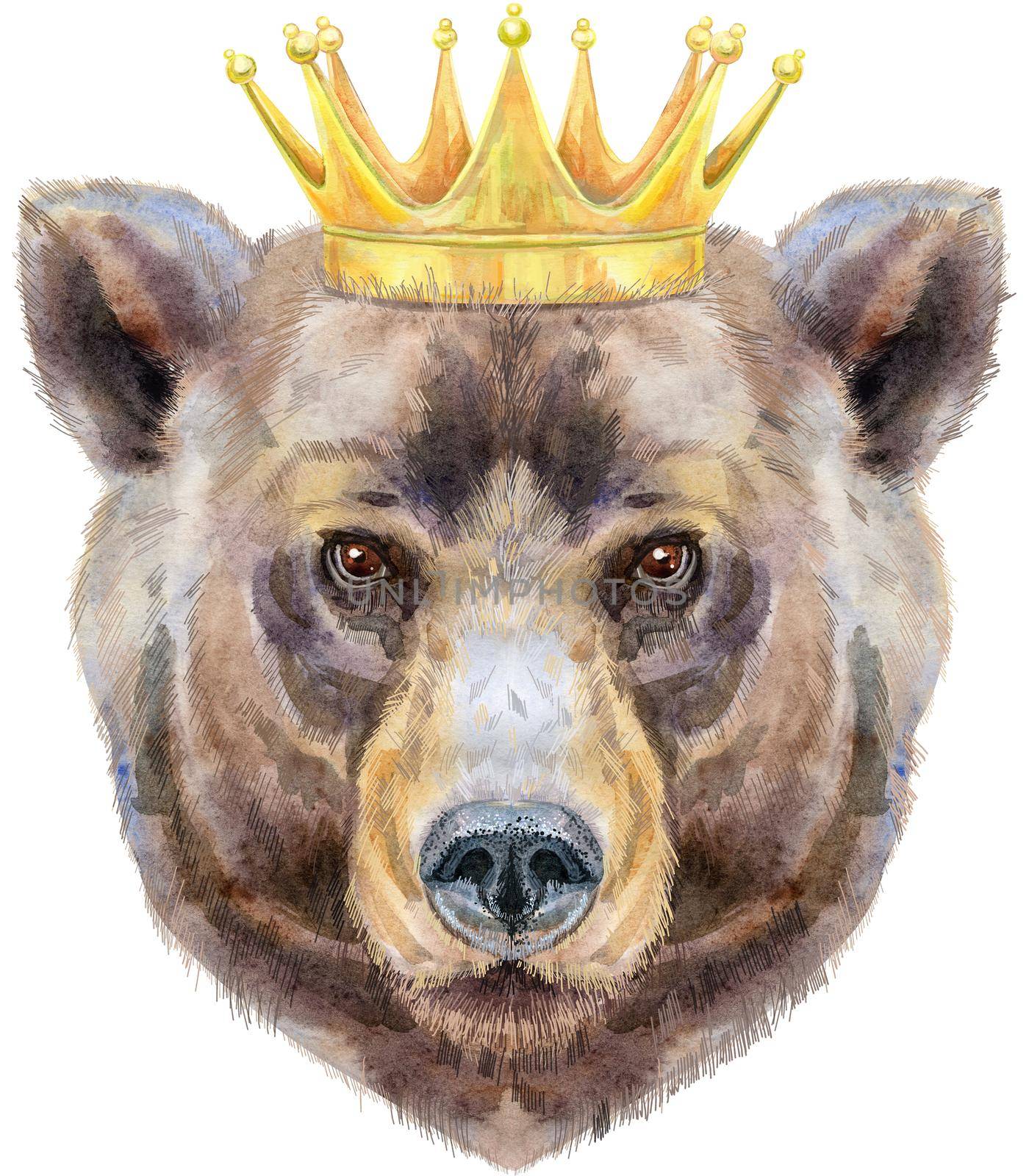 Bear portrait. Watercolor brown bear in gold crown painting illustration. Beautiful wildlife world