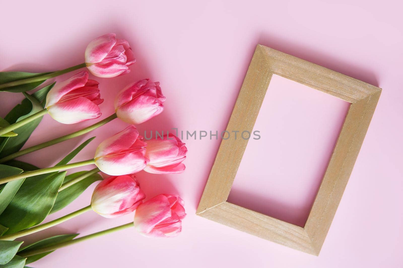 Pink Tulip flowers are arranged on a pink background. The view from the top, flat lay. Empty space for the text. Spring concept. Women's day. Mother's day.