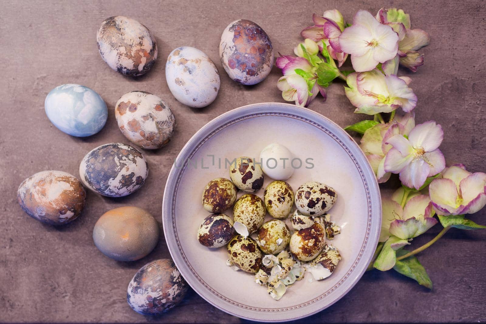 Naturally colored Easter eggs with onion skin and hand-painted with fresh flowers on concrete background. spring concept,