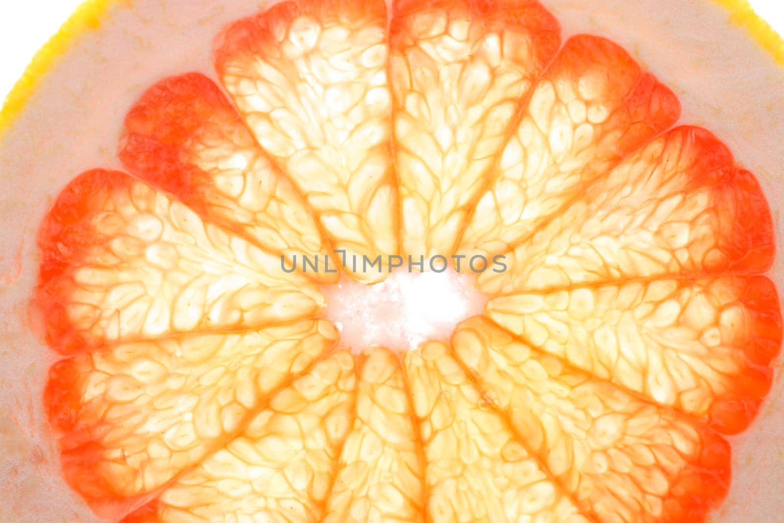 grapefruit slice on white background