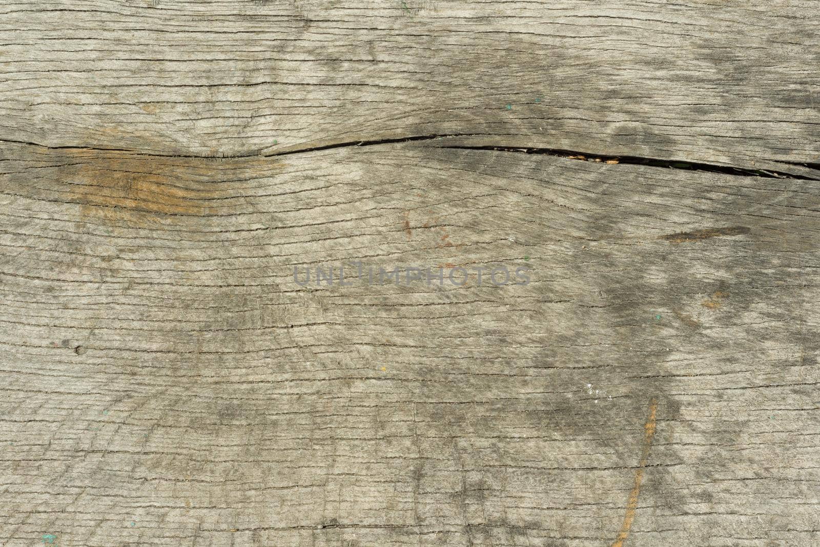 The old wood texture with natural patterns with cracked color, background by VH-studio