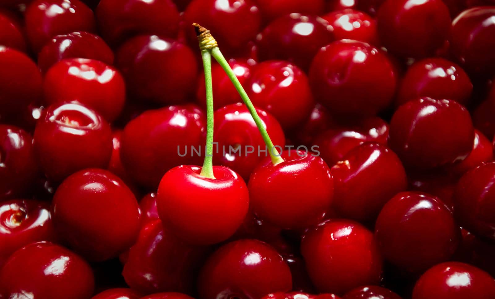 Ripe Sweet Cherry. Summer Background. Copy Space For Your Text.