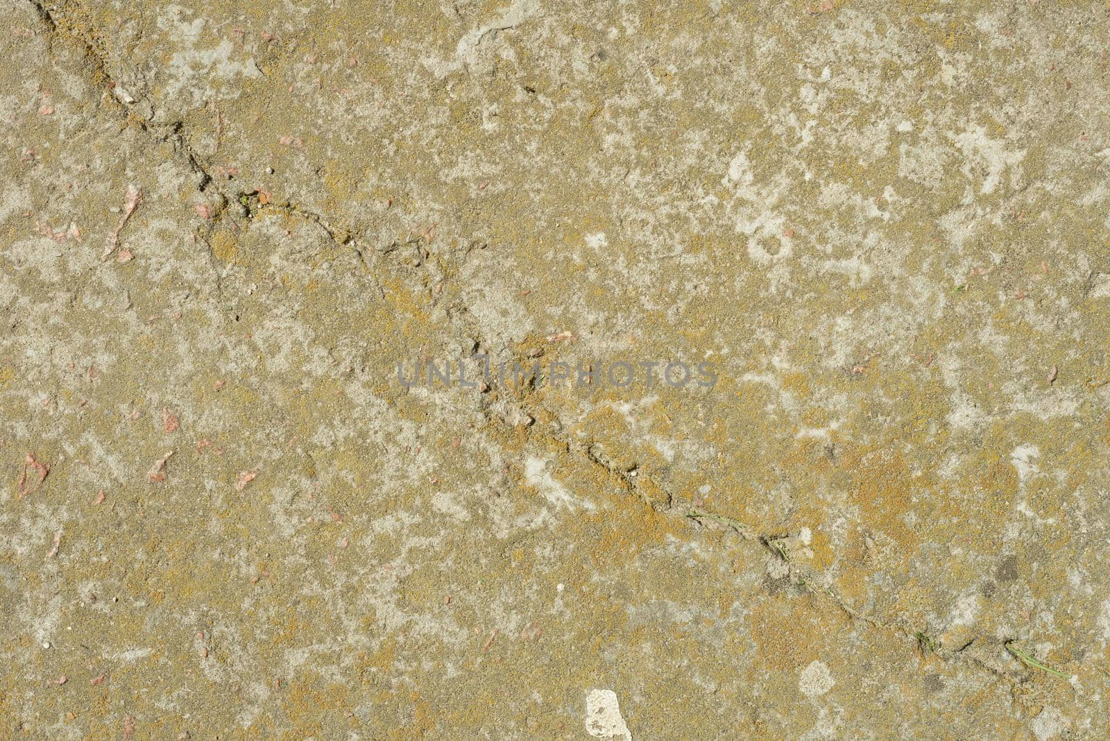 Cracked concrete cement texture closeup background by VH-studio