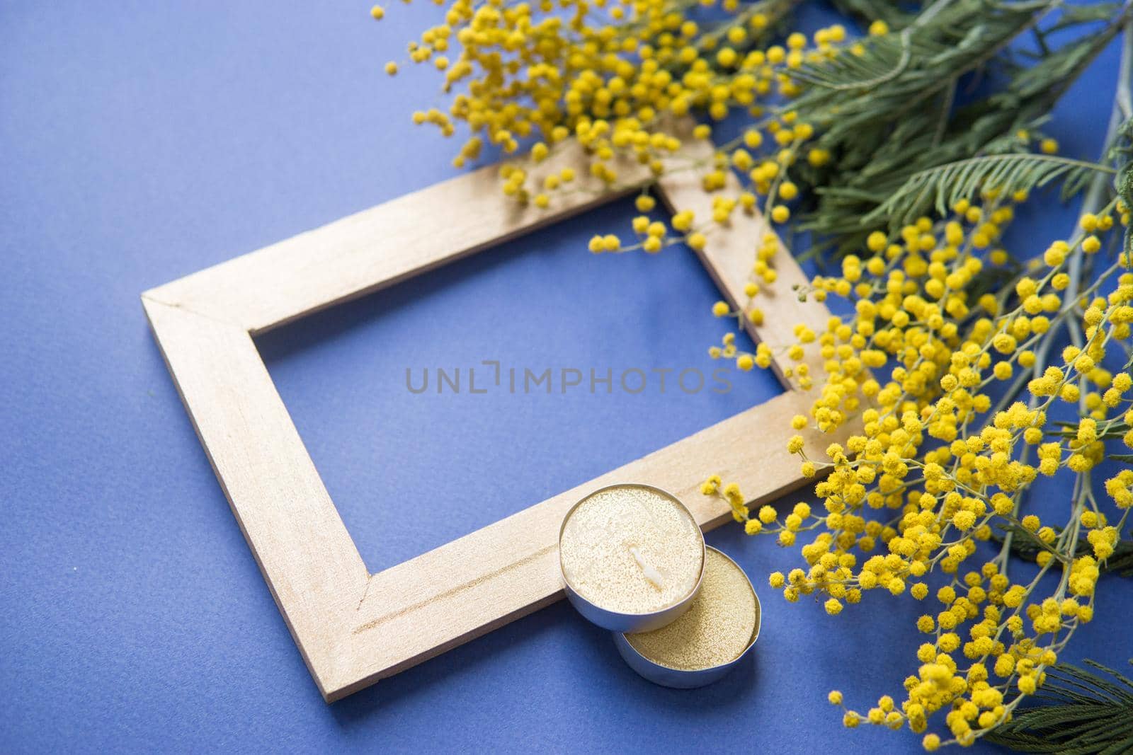 Spring concert. Mimosa and gold frame on blue background. Mimosa close-up. Happy spring. Space for text.