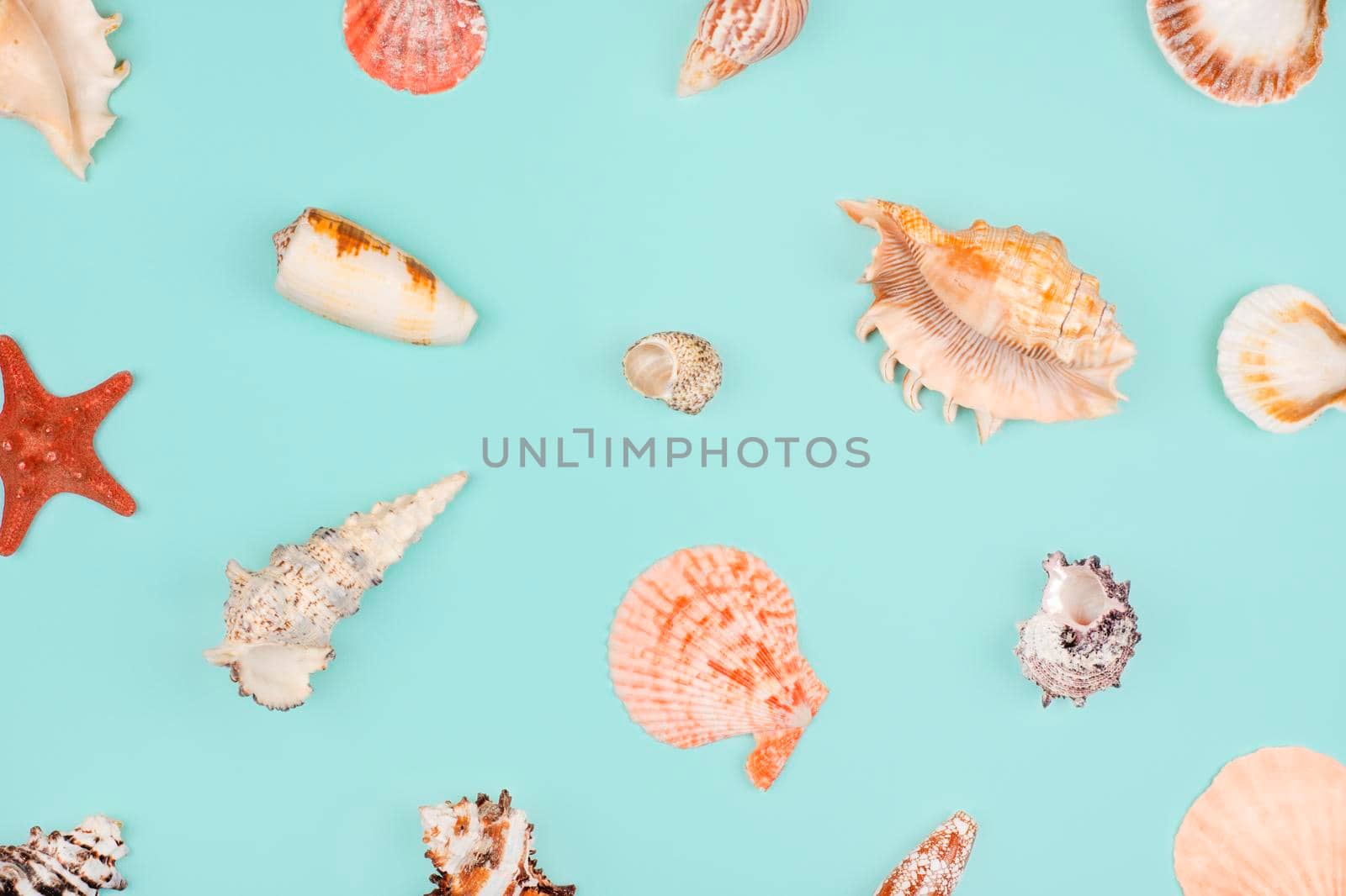 Sea pattern, top view, flat lay. Summer concept. Different sea shells and starfish pattern on light blue background.