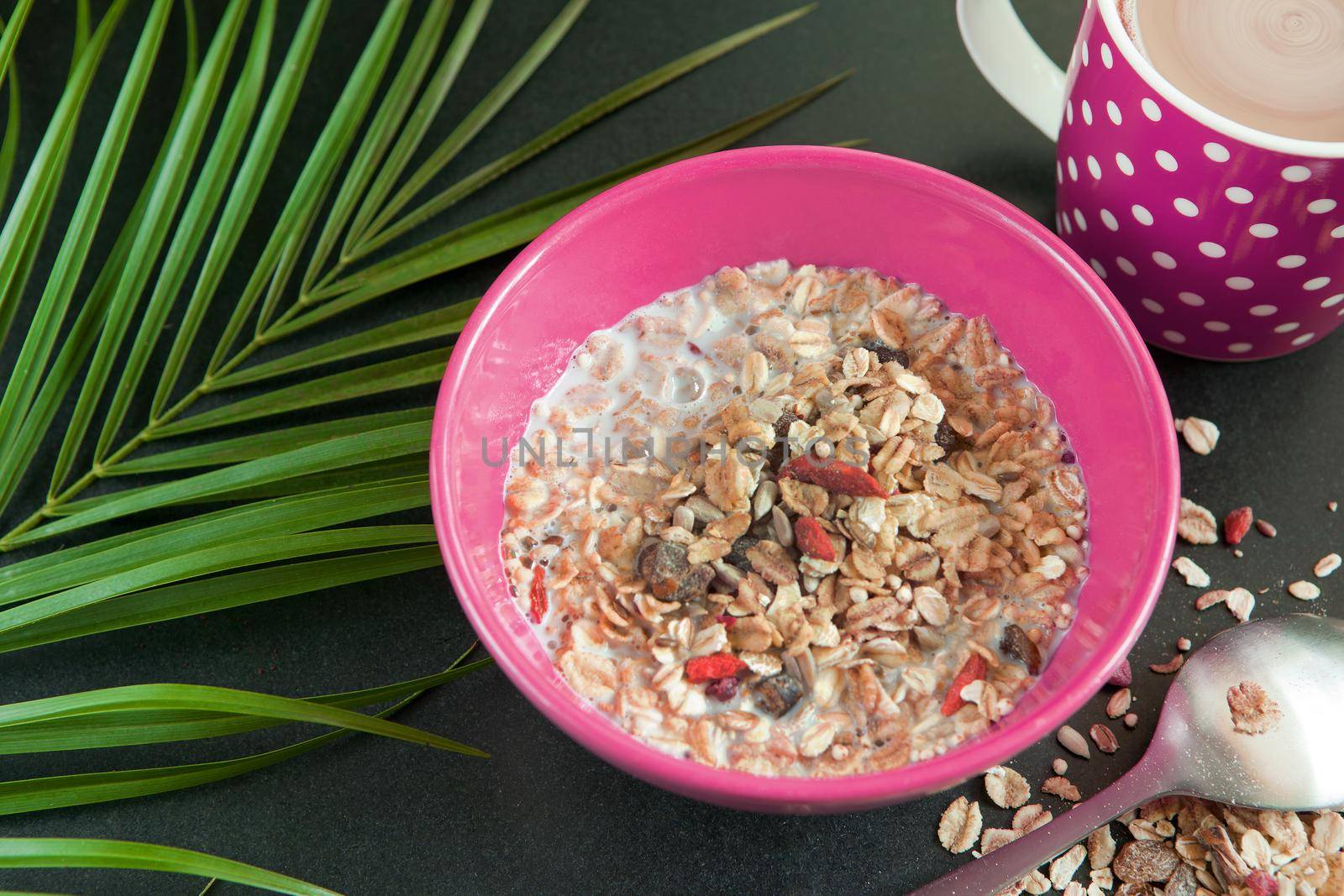 Coffee cup and oatmeal with nuts, milk and dried fruits in violet bowl on black table near green palm leaf. Perfect whole grain breakfast as tasty organic food.