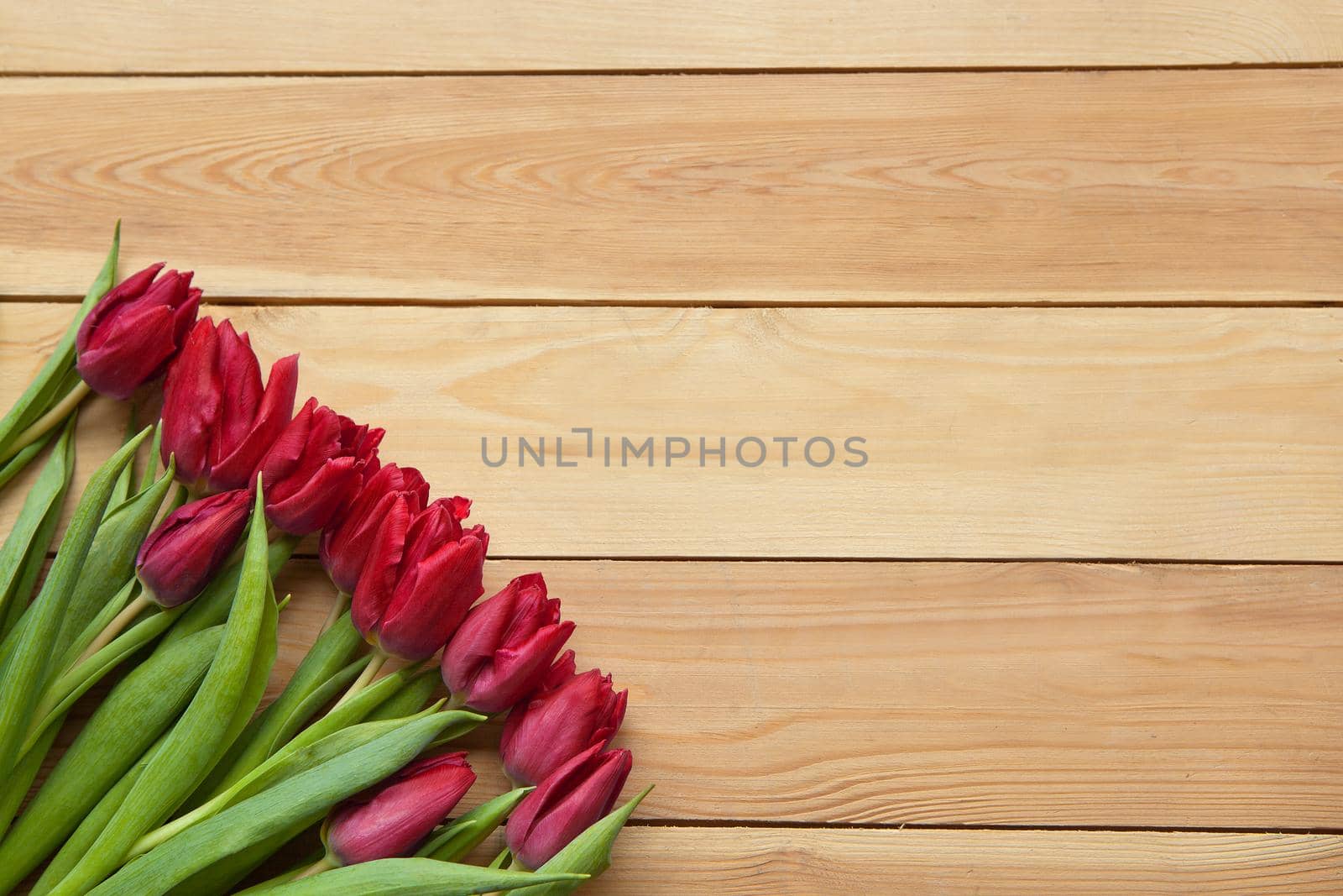 red Spring Tulip Flowers on wooden table. Blooming spring petals. Beautiful red Tulips in spring. Tulip flower with green leafs on wooden background. spring day for postcard