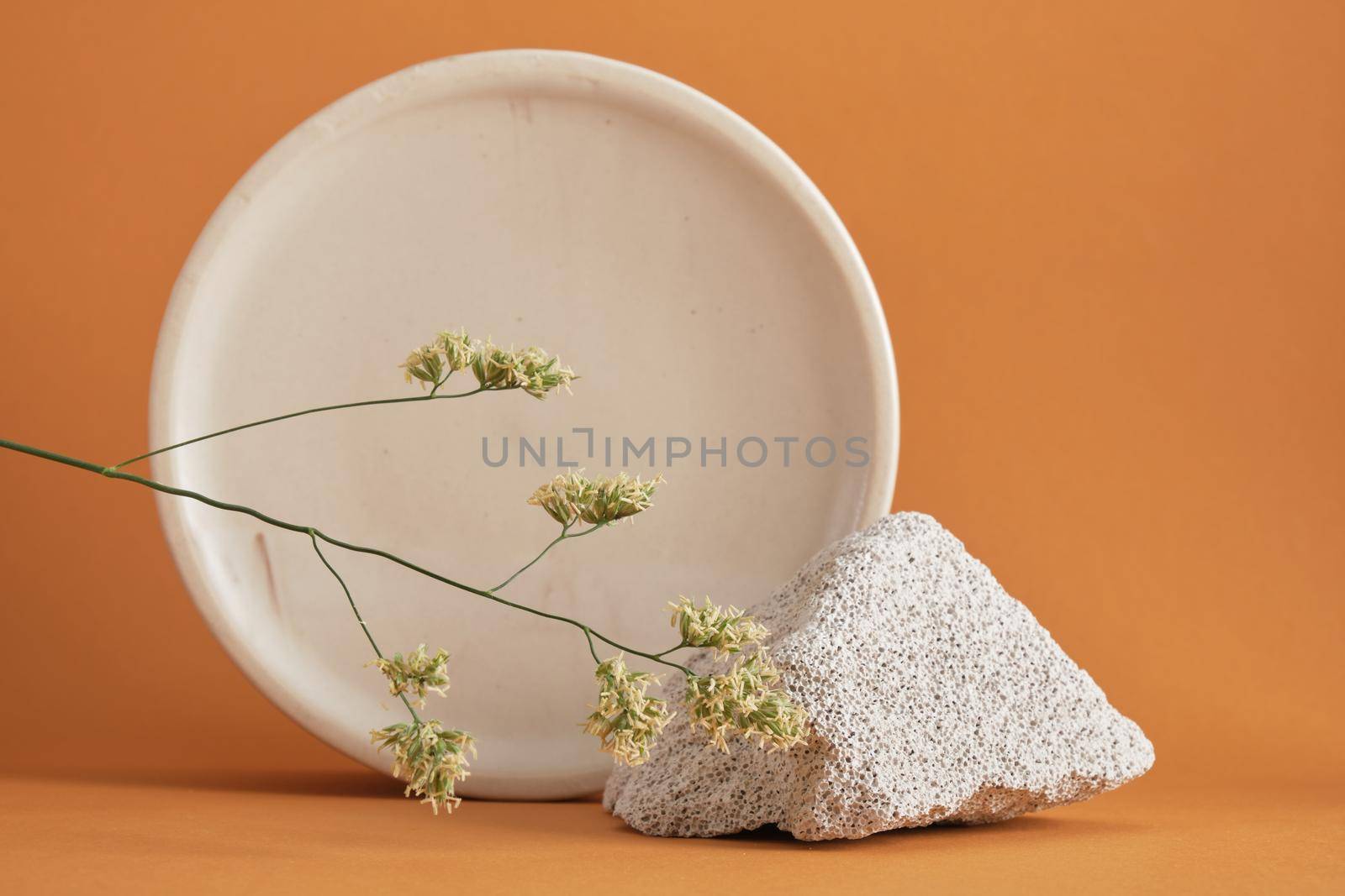 concrete block fragment and round marble podium, blade of grass on brown background by natashko