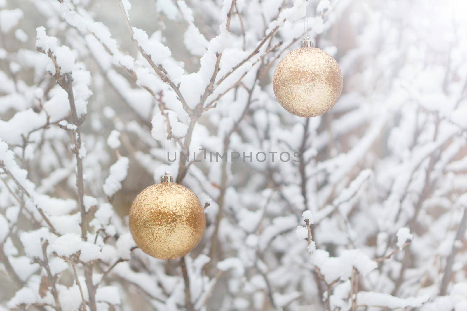 Closeup of Christmas ball on branch with snow. marry christmas and happy new year. golden balls on the snowed branches