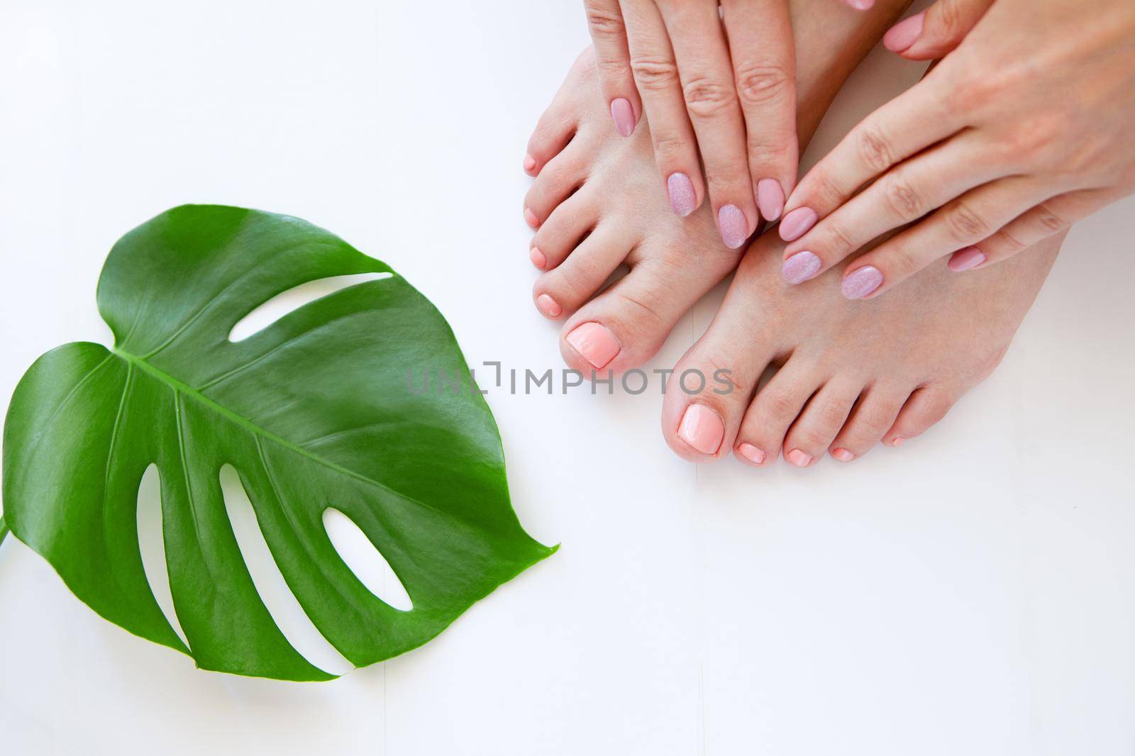 Healthy Legs with beautiful pedicure. Spa Skincare. woman legs and Hands isolated on white background with green monstera flower plant. Eco manicure and natural cosmetology concept