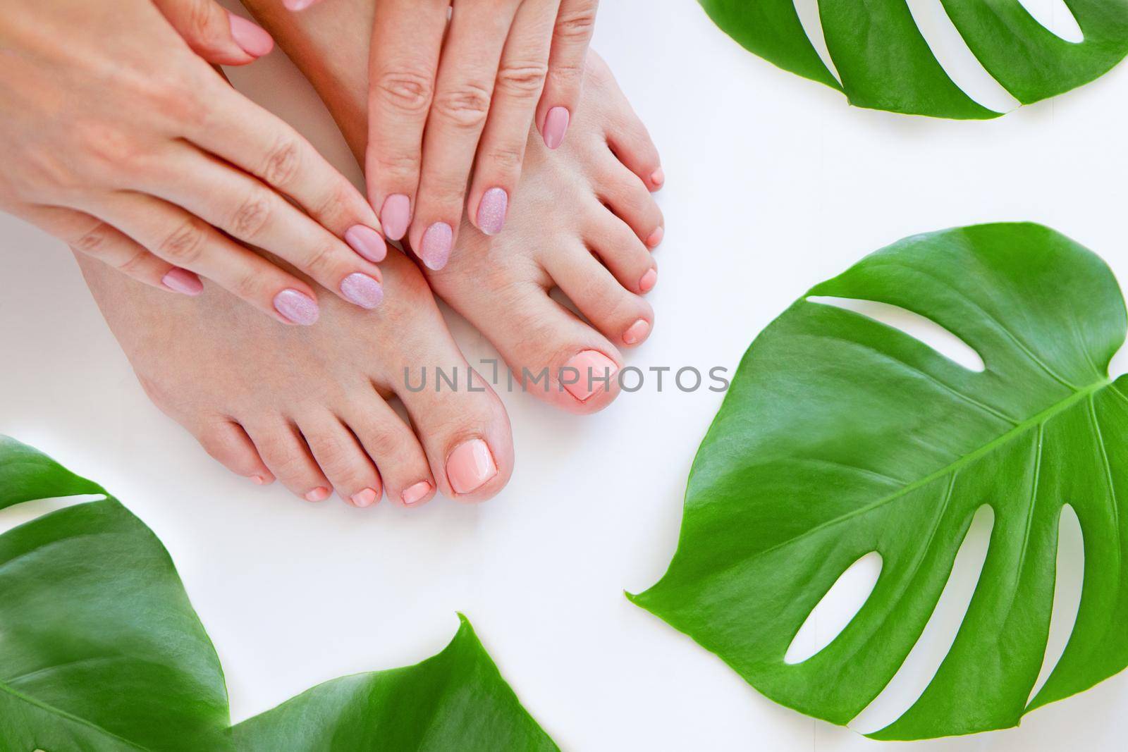 Healthy Legs with beautiful pedicure. Spa Skincare. woman legs and Hands isolated on white background with green monstera flower plant. Eco manicure and natural cosmetology concept