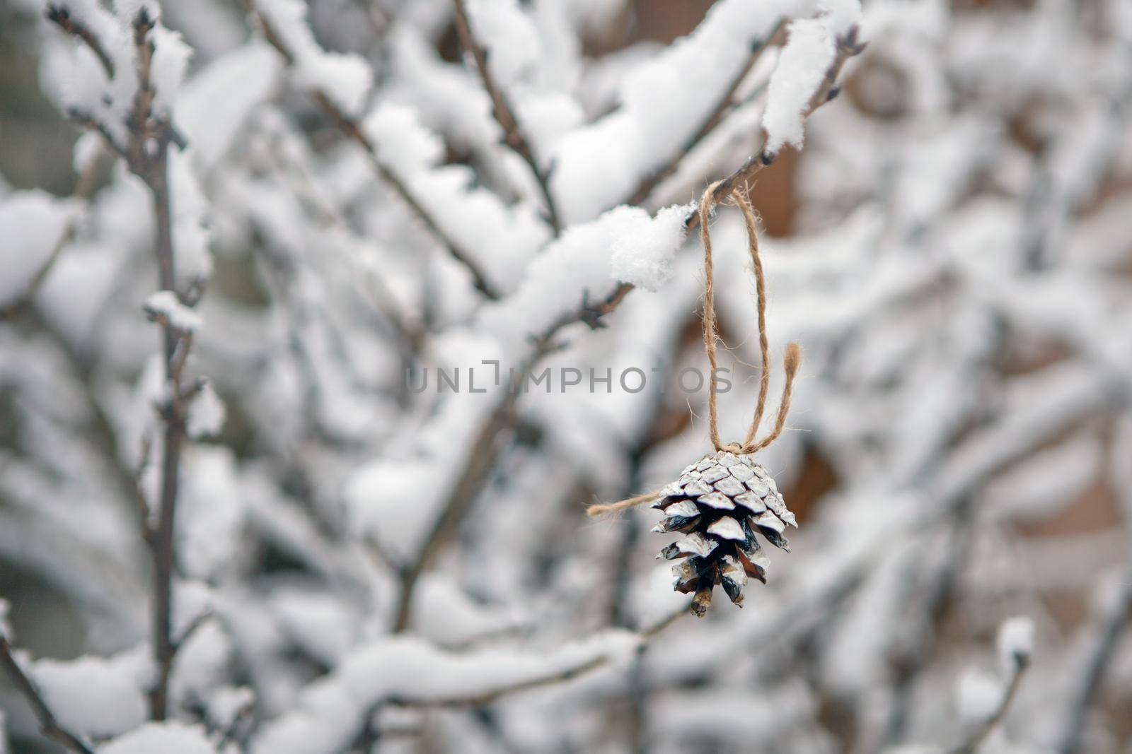 branches with snow and christmas tree cones. winter background