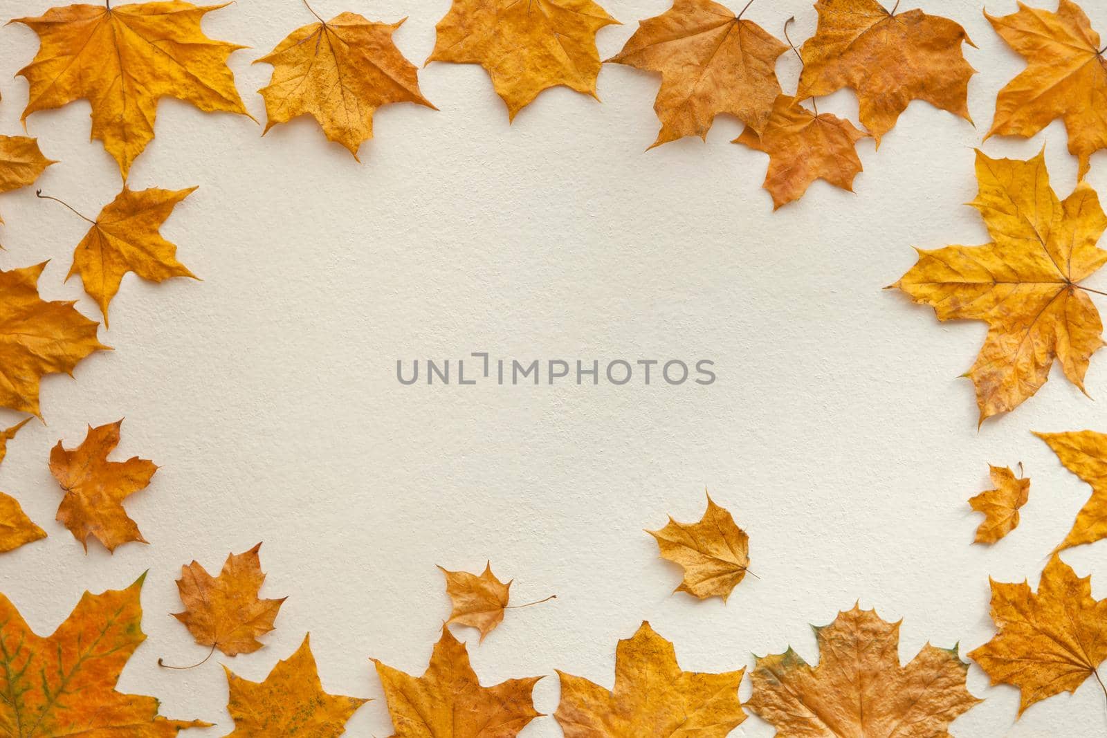 border frame of colorful maple autumn leaves on white- flat lay view for mock up