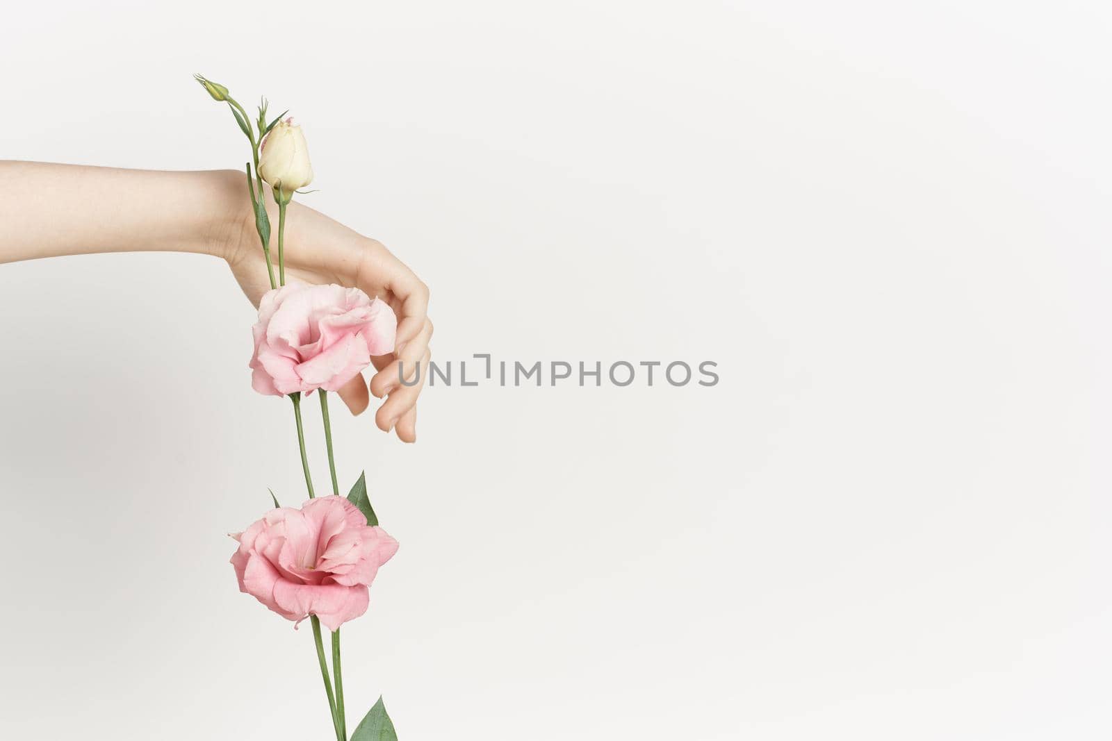bouquet of flowers in hands close-up light background decoration beauty. High quality photo