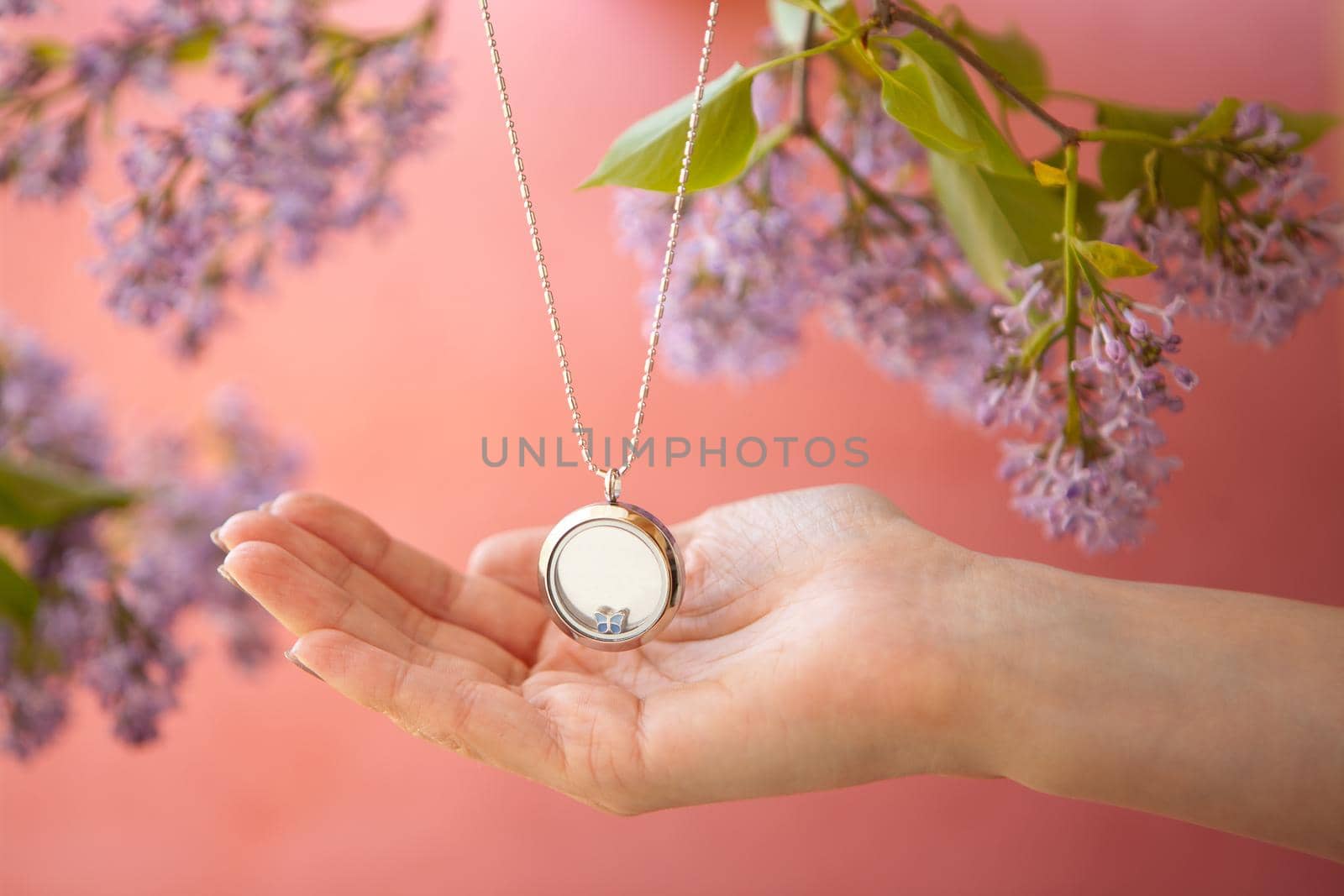 shining Silver necklace for lady on womans hands near lilac flowers. Luxury silver jewelry chains with glass and crystals. Small Beautiful precious metal present for woman on pink backround. Luxury jewelry gift for girls