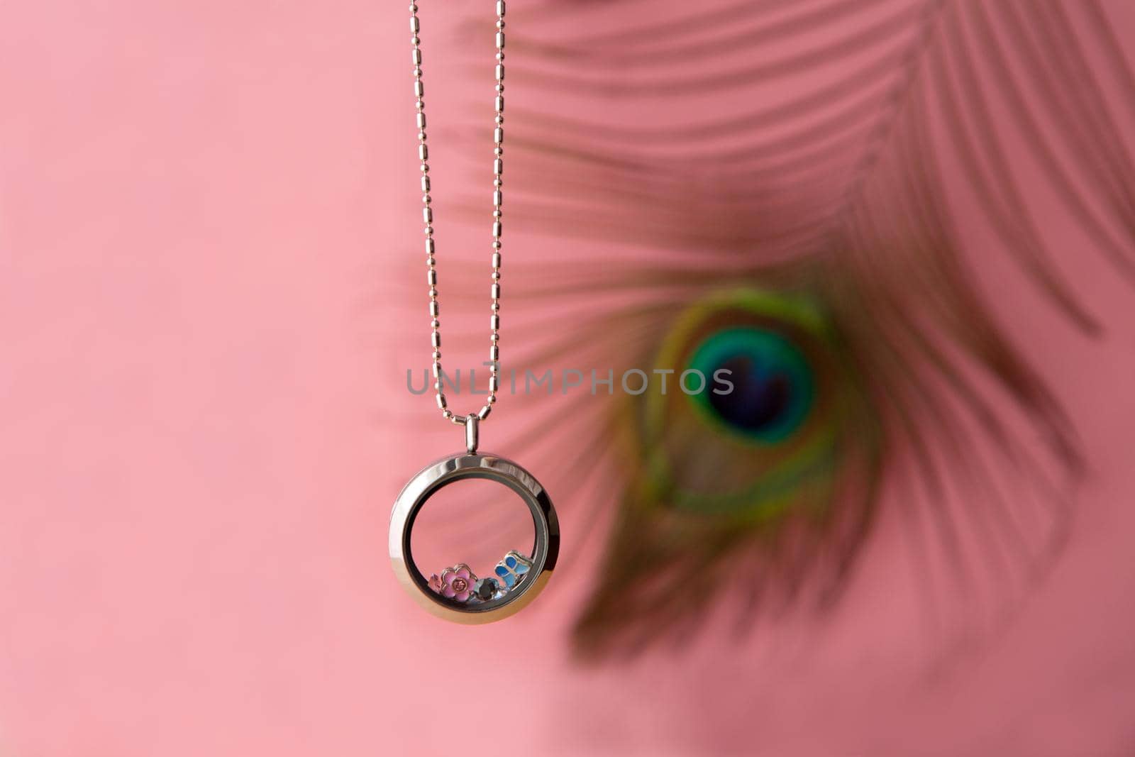 Silver necklace for her shining on peafowl feather. Luxury silver jewelry chains with glass and crystals. Small Beautiful precious metal present for woman. Luxury jewelry gift on pink background