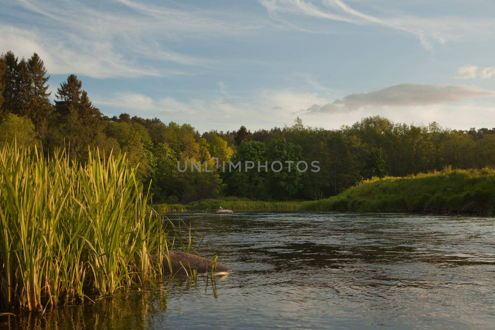 Sunset on lake in summer time. Beautiful natural landscape. river at summer time