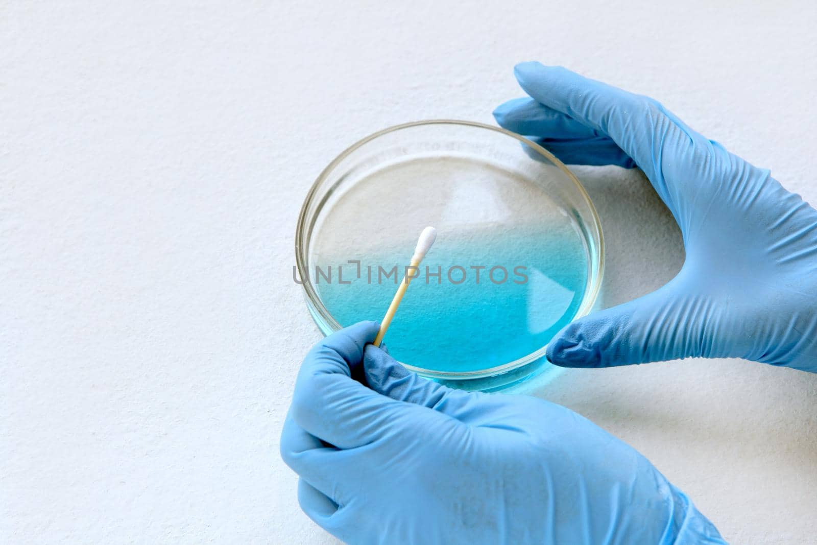 chemist at blue glowes at laboratory. testing with glass plate, blue liquid and sampler on his hands. Bacteria, viruses and health care concept