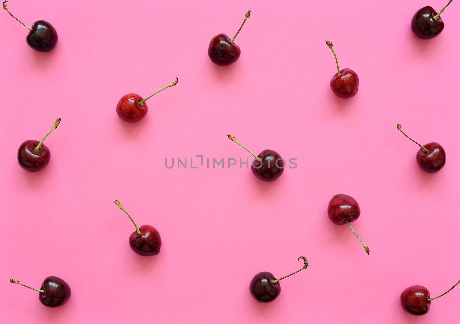 Big sweet cherry on a pink background. Sweet cherries close up. Summer flat lay berry background. Top view cherry pattern.