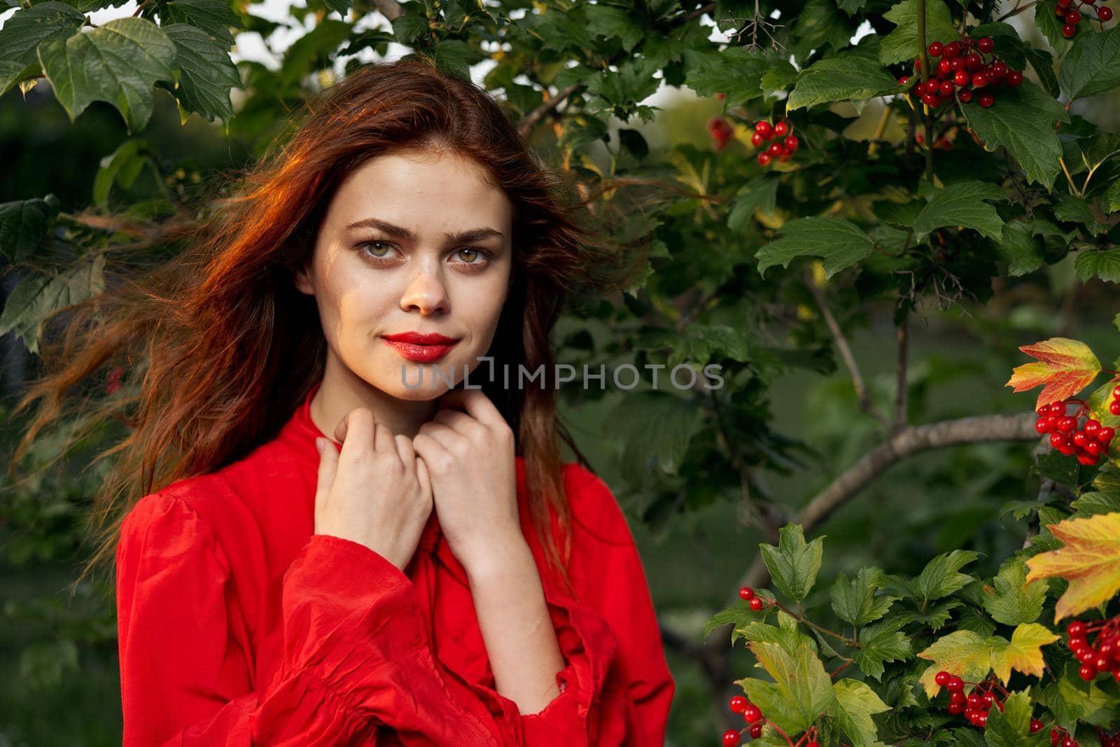 pretty woman in the summer outdoors near the bush. High quality photo