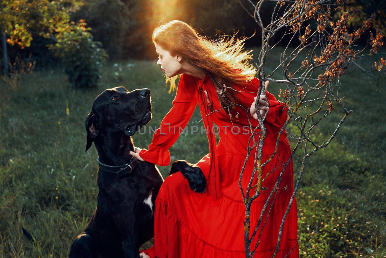 pretty woman in red dress with dog outdoors posing glamor by Vichizh