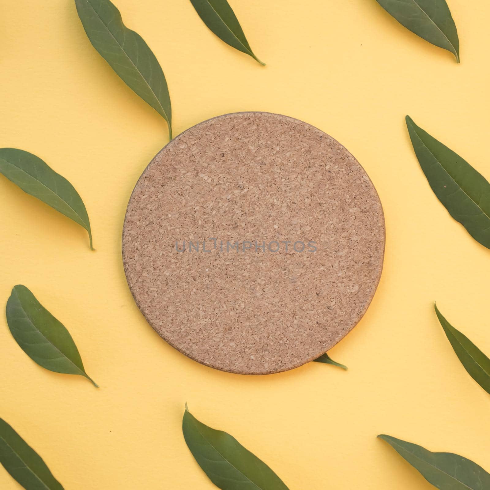 blank circular cork surrounded with green leaves yellow background by Zahard