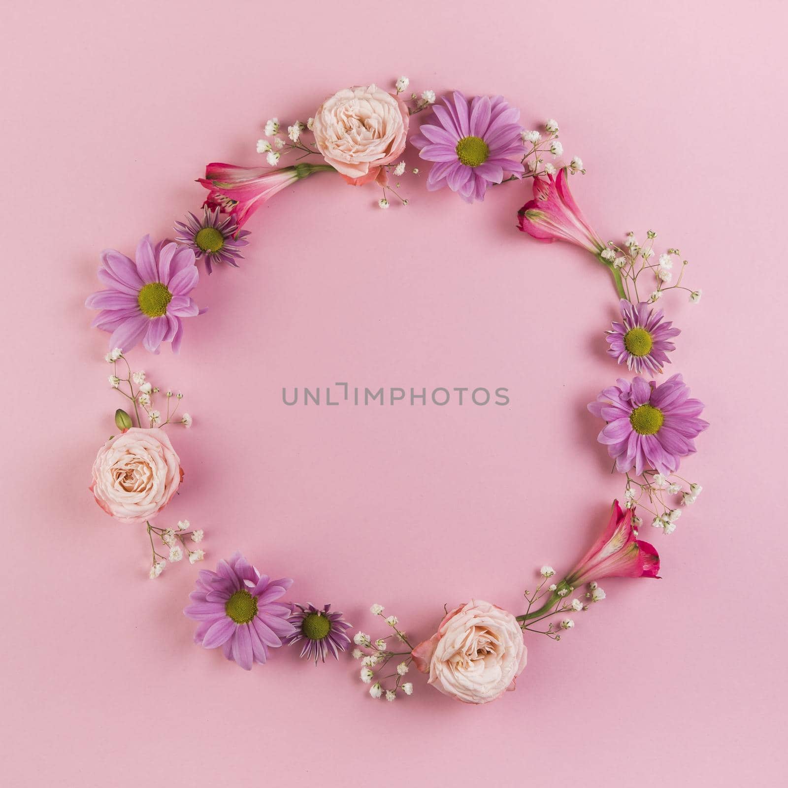 blank circular frame made with flowers pink background by Zahard