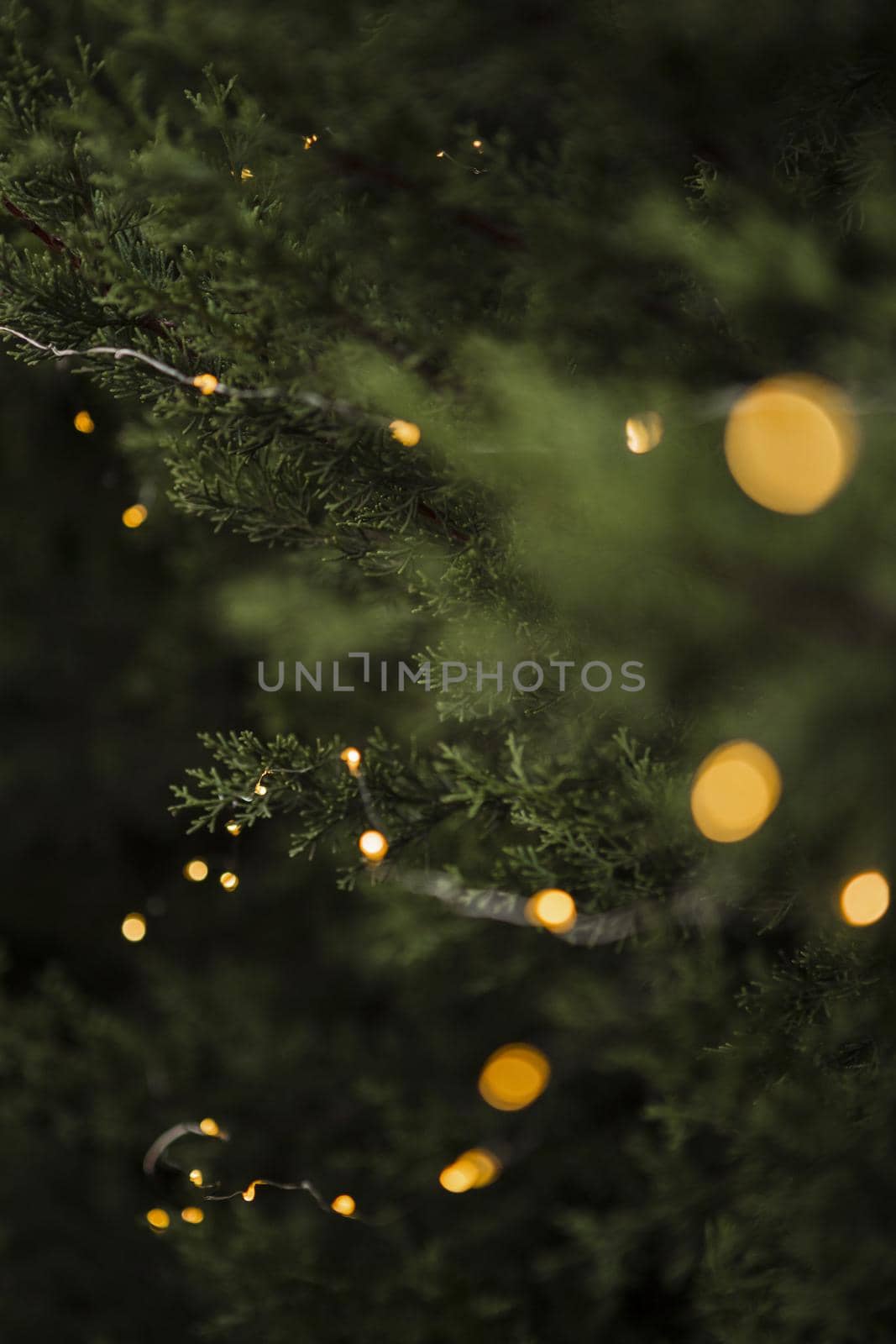 christmas decoration with beautiful tree lights by Zahard