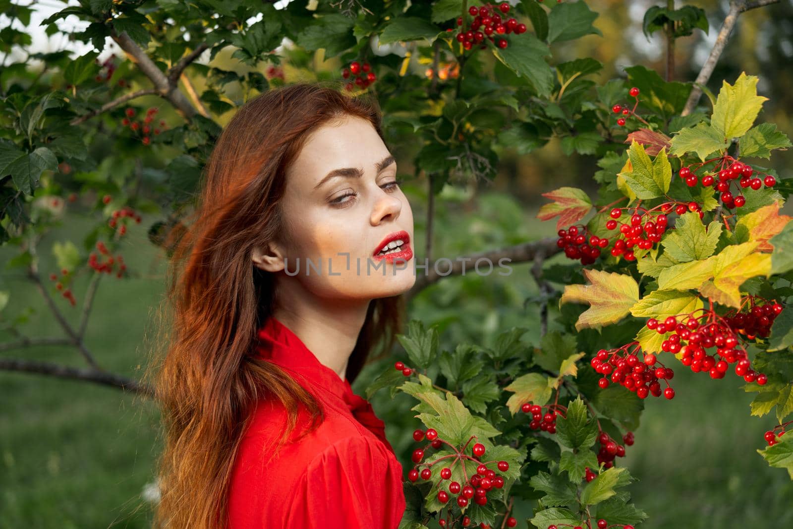 Woman in red shirt plants berries nature summer. High quality photo