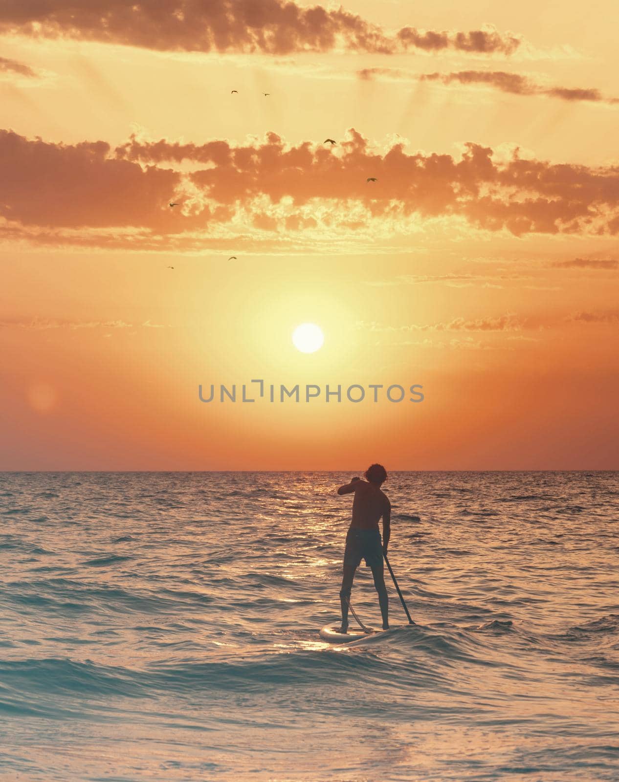 Young man floating on stand up paddle board, SUP, in the sea at sunset.