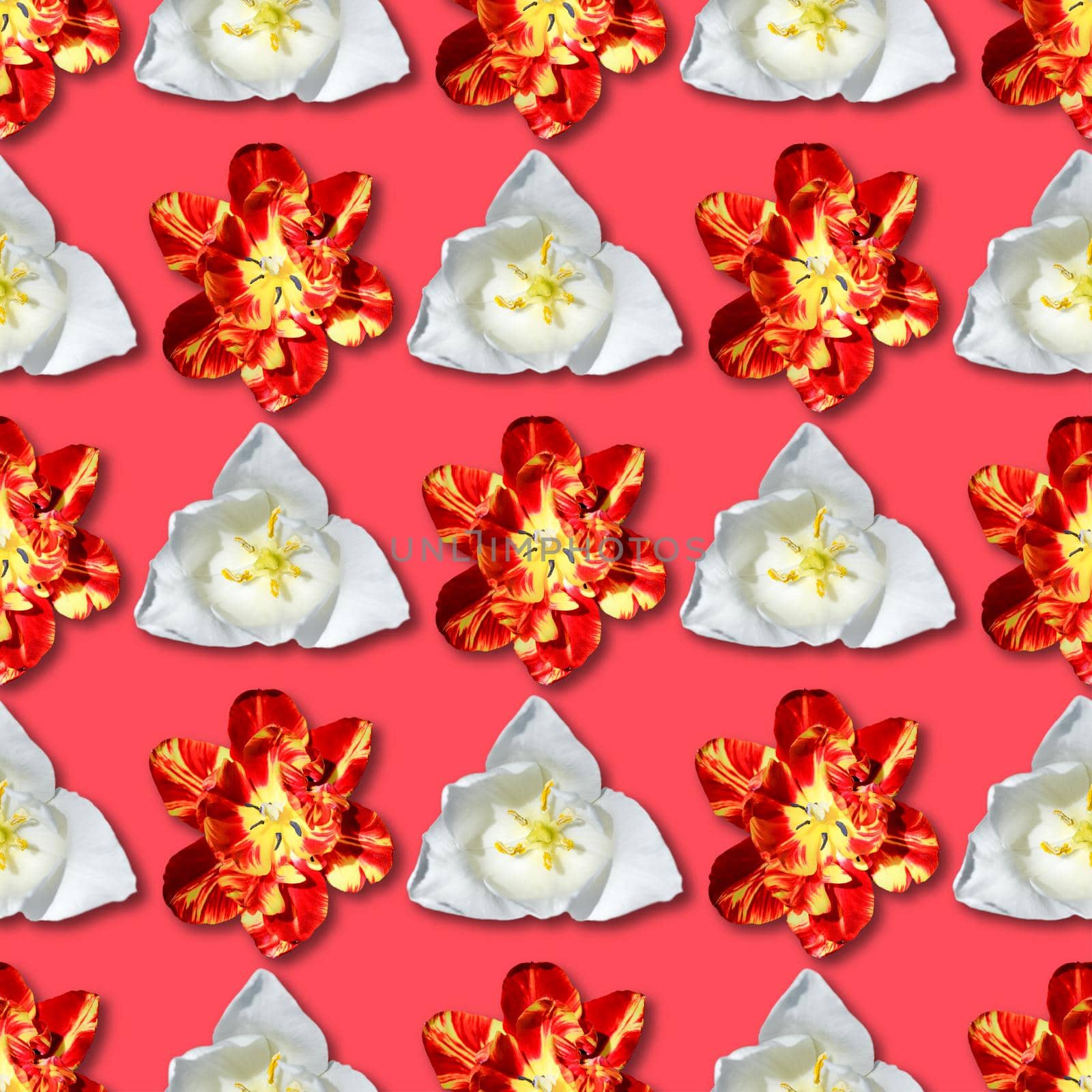 Tulips seamless pattern. Psychedelic background. Spring flower