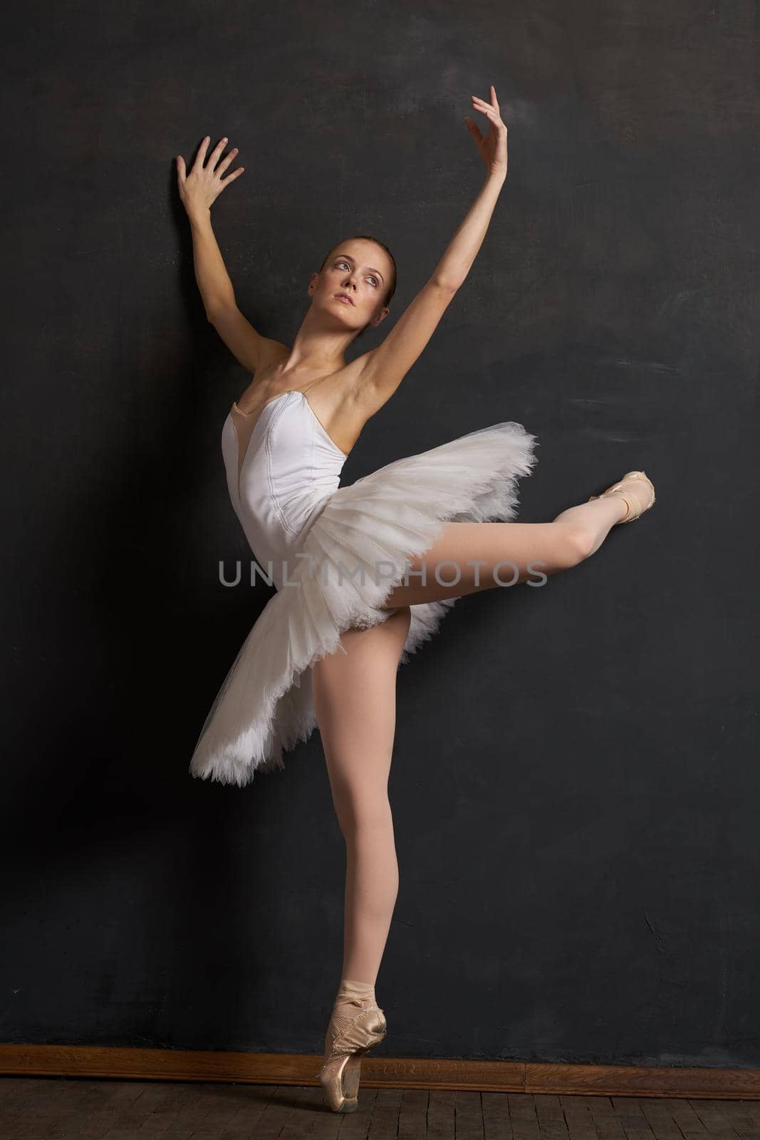 woman ballerina in a white tutu dance posing performance dark background by Vichizh