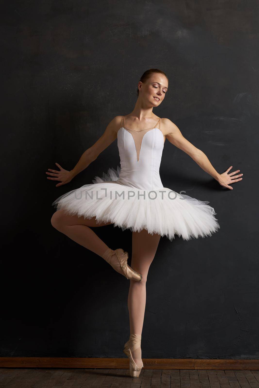 ballerina dance classic performance the dark background. High quality photo