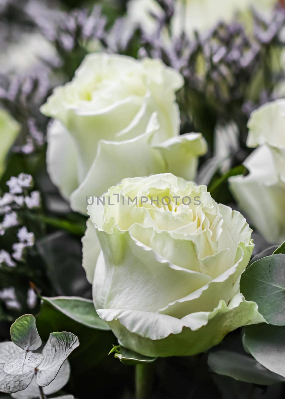 Bouquet of beautiful white roses. Perfect for greeting card background by Olayola