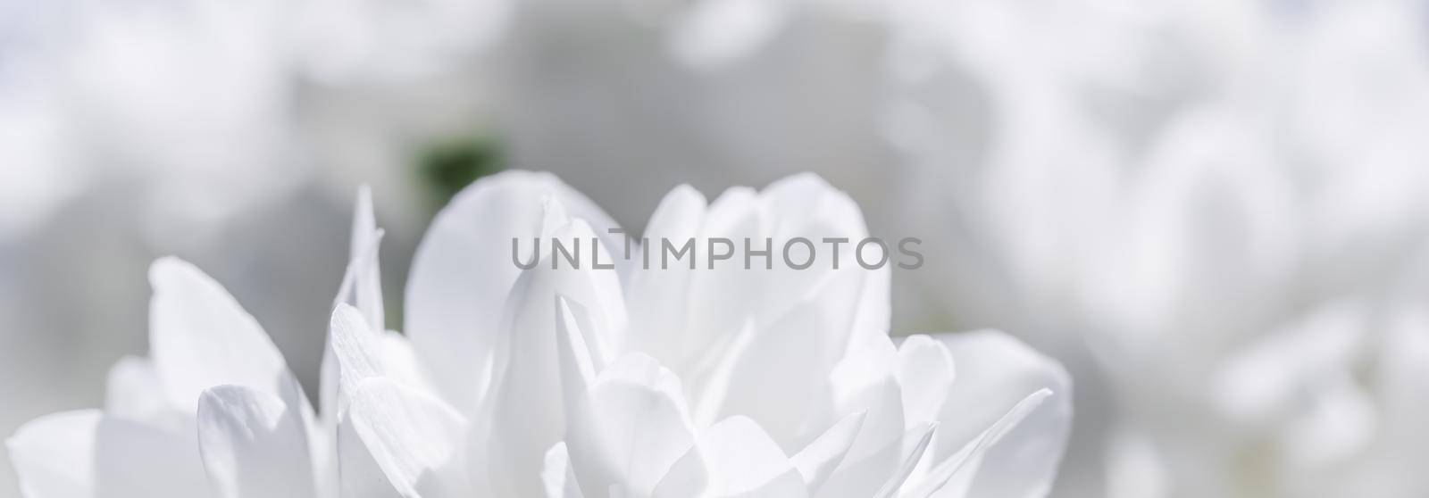 White terry jasmine flowers in the garden. Floral background