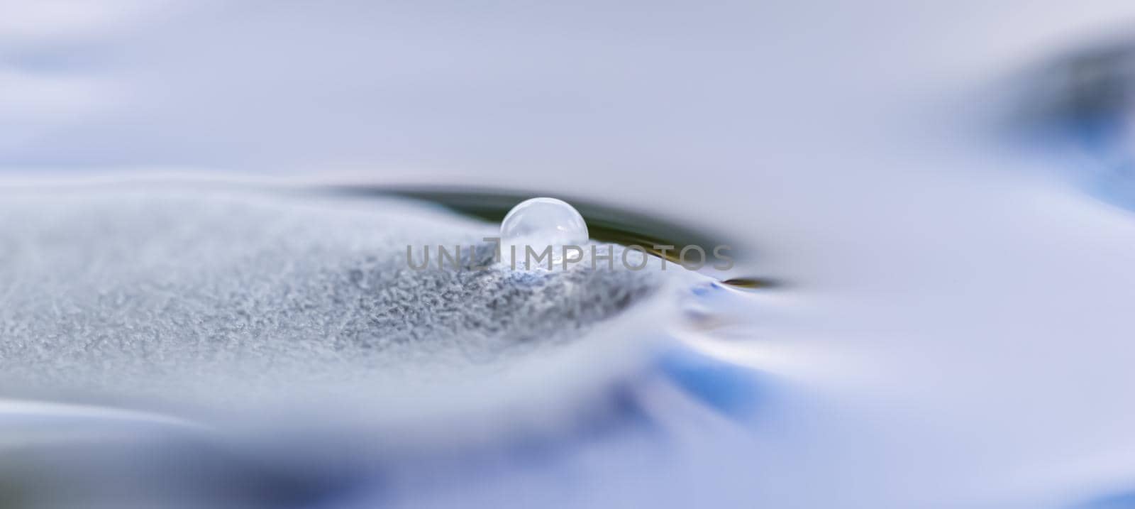 White rose petal with water drop. Aromatherapy and spa concept. Blurred flower background by Olayola